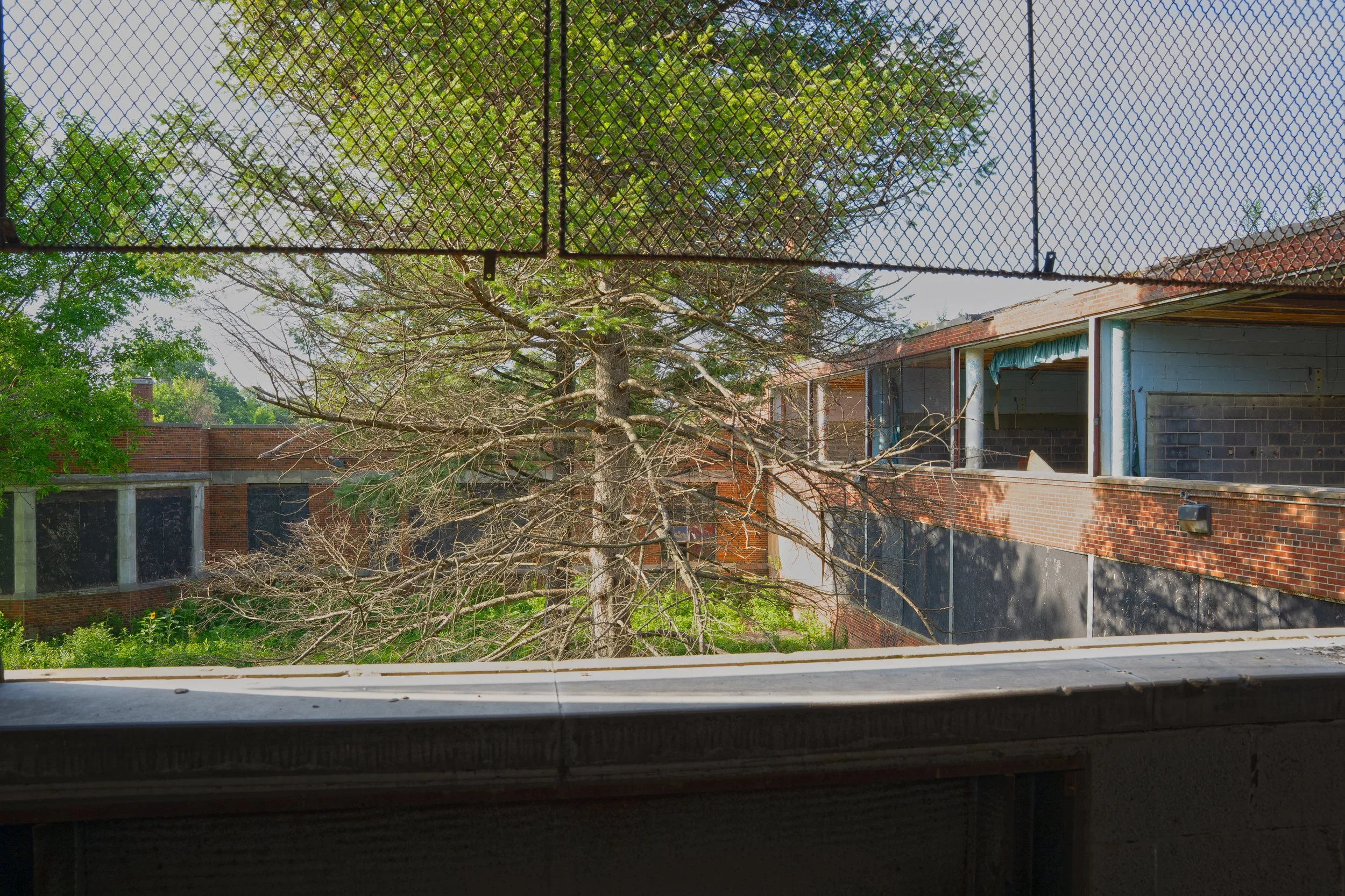 2nd floor classroom view of the 1954 addition on the right, and the 1925 building in the middle left