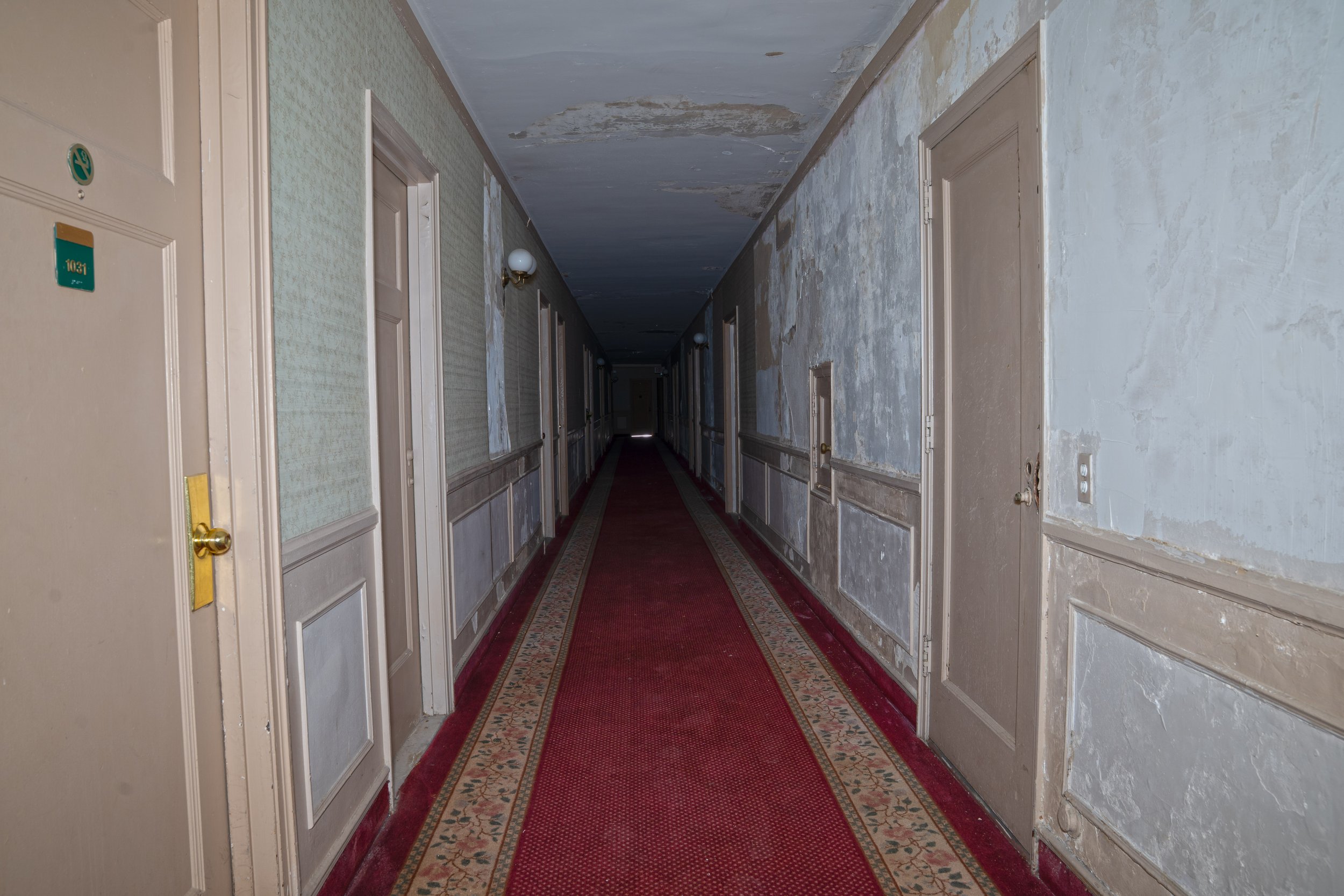 DSC07086.jpg