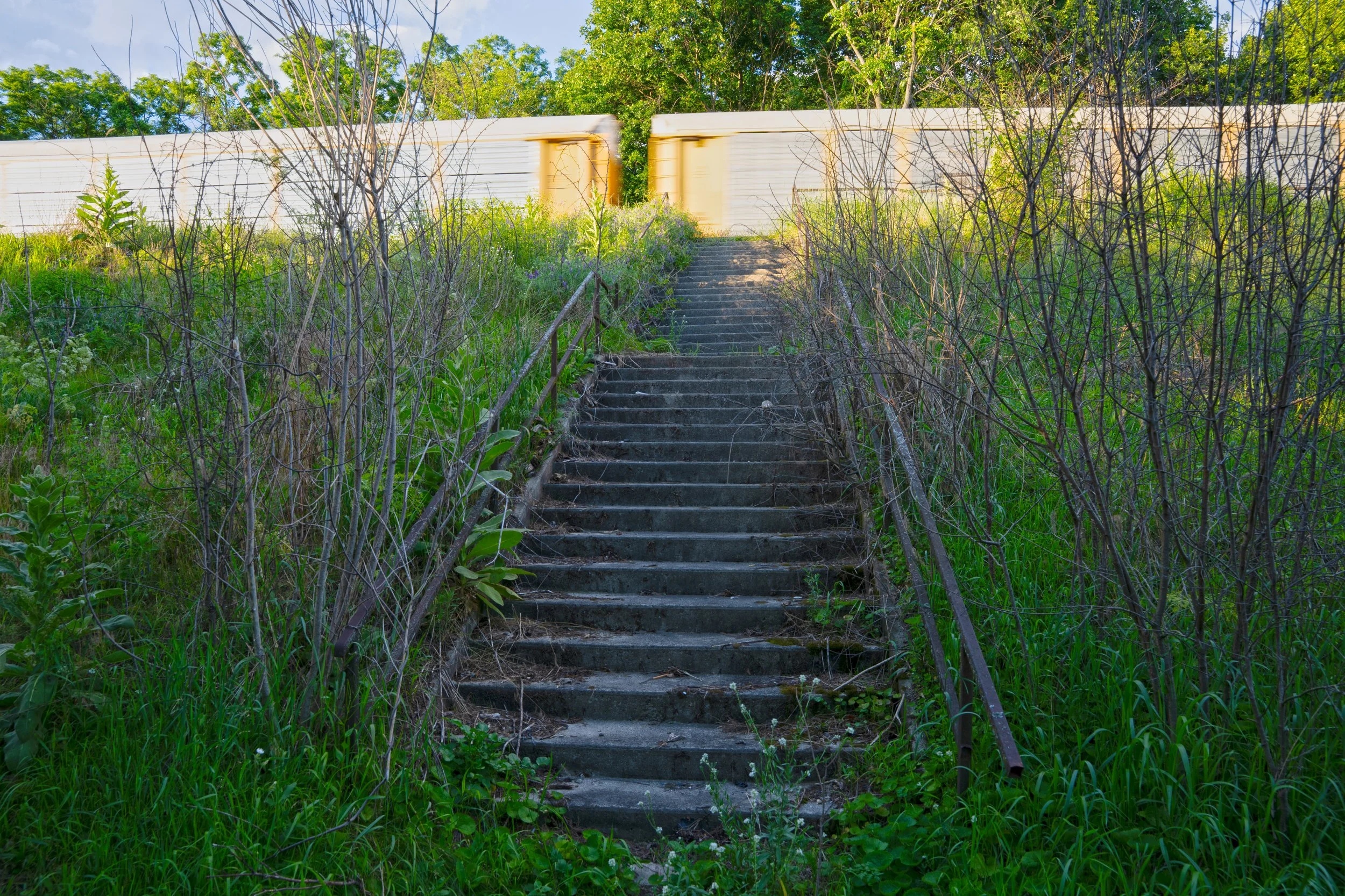 DSC06579.jpg