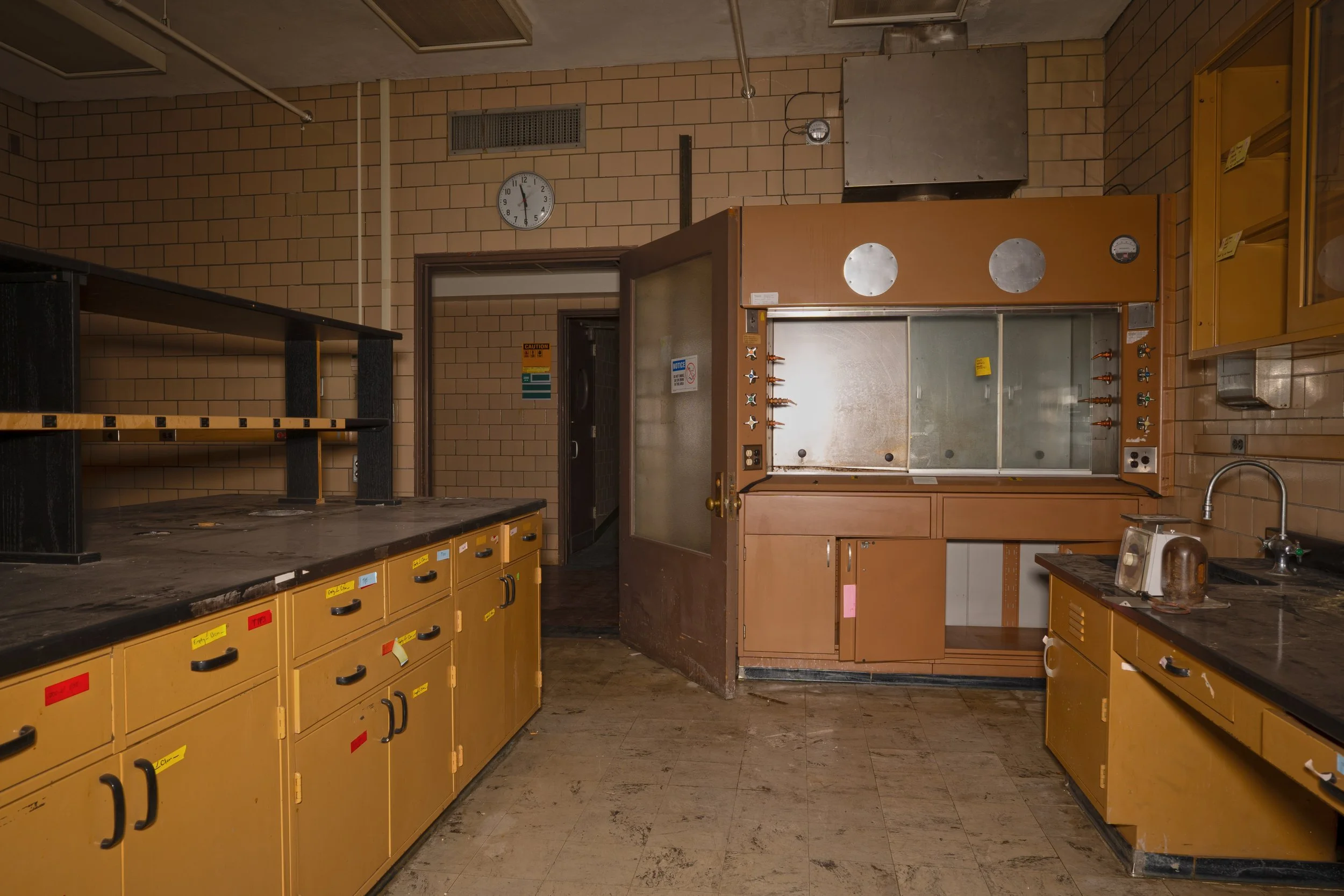 that same lab