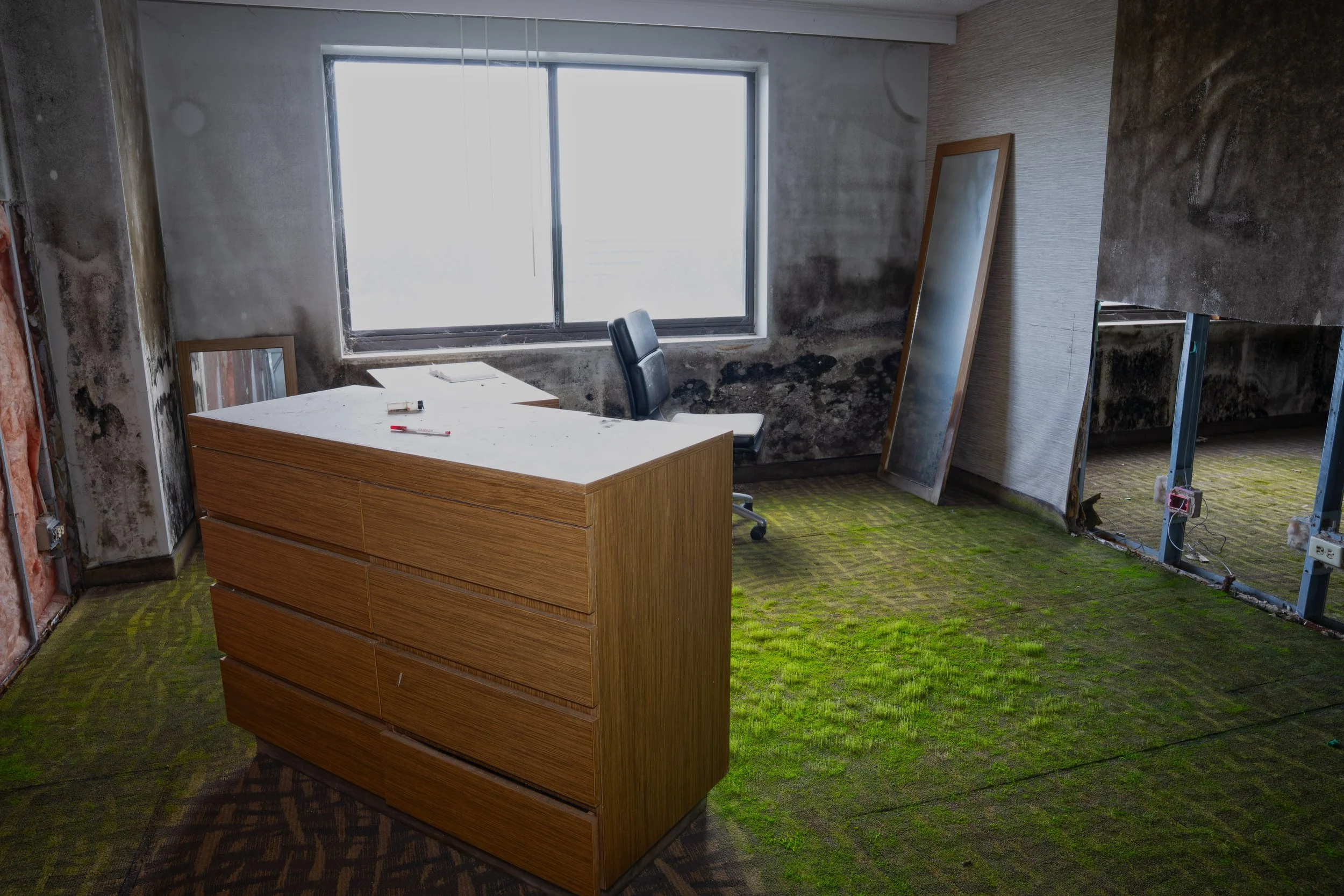 4th floor hotel room with black mold, moss, and grass growing on the floors and walls
