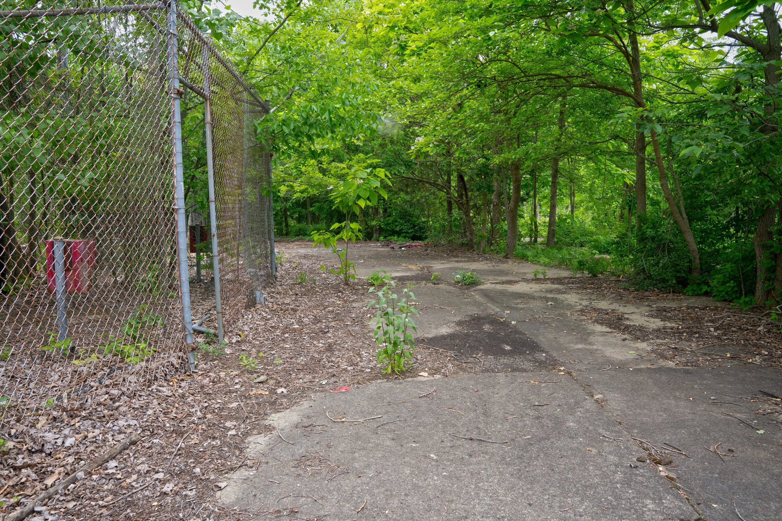 DSC06291.jpg