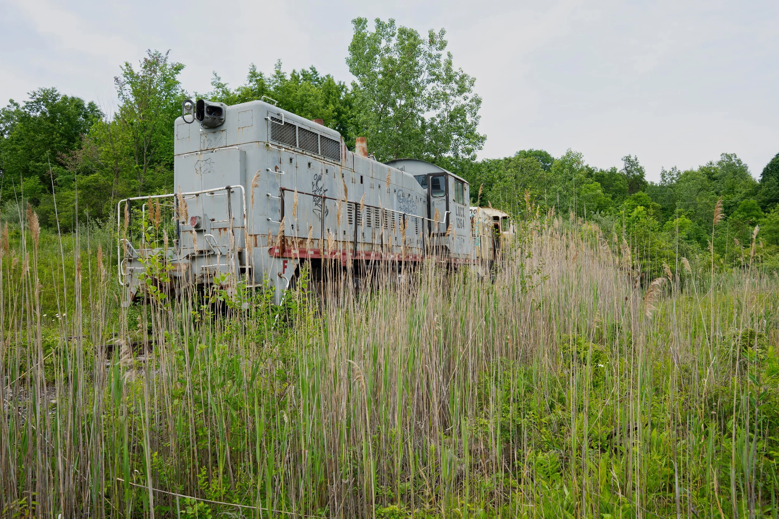 DSC06276.jpg