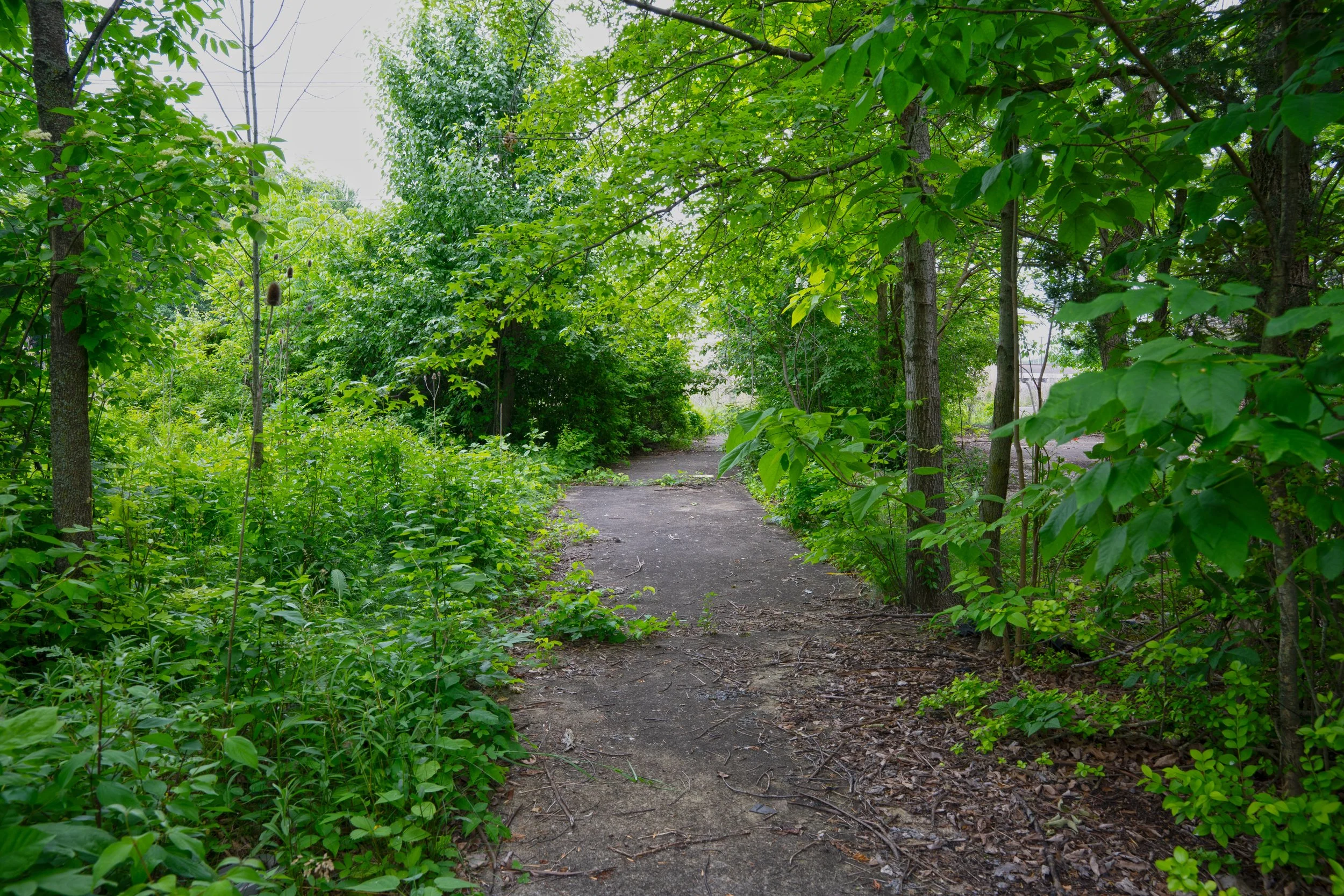 DSC06300.jpg