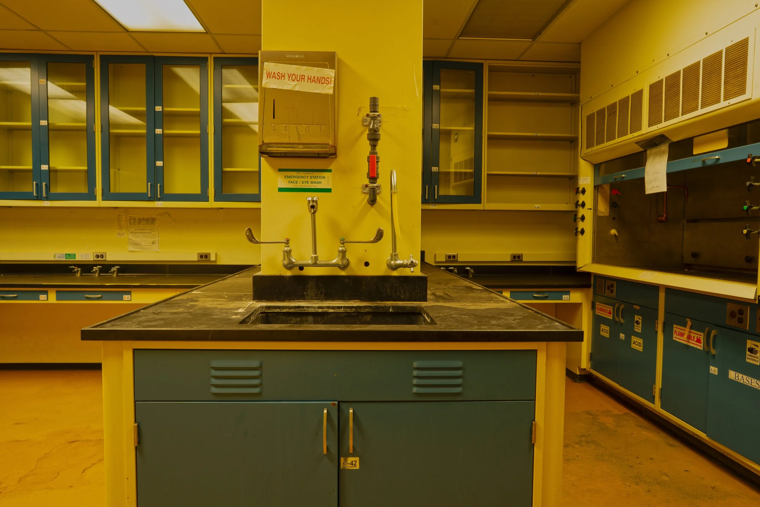 that same lab