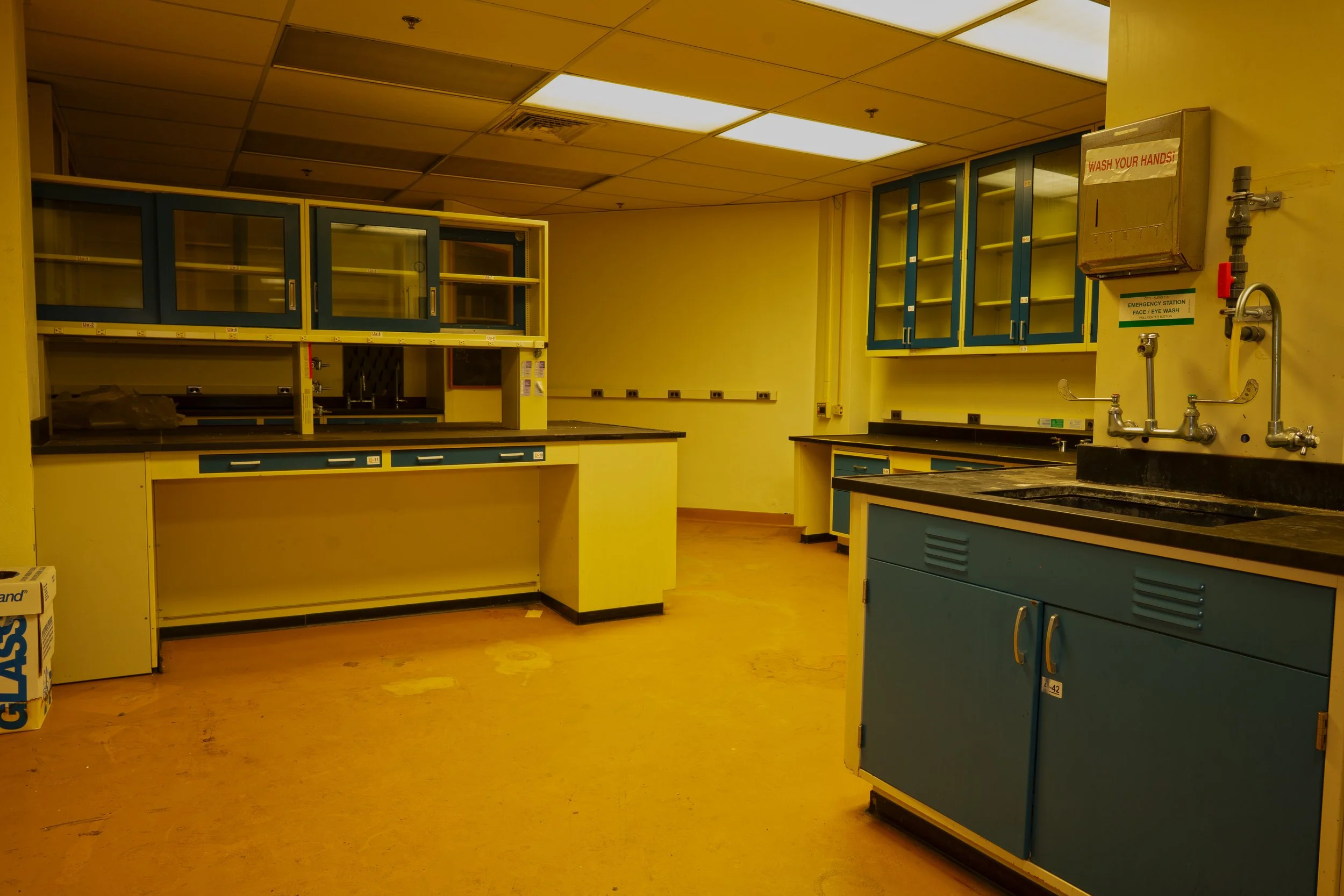 that same lab