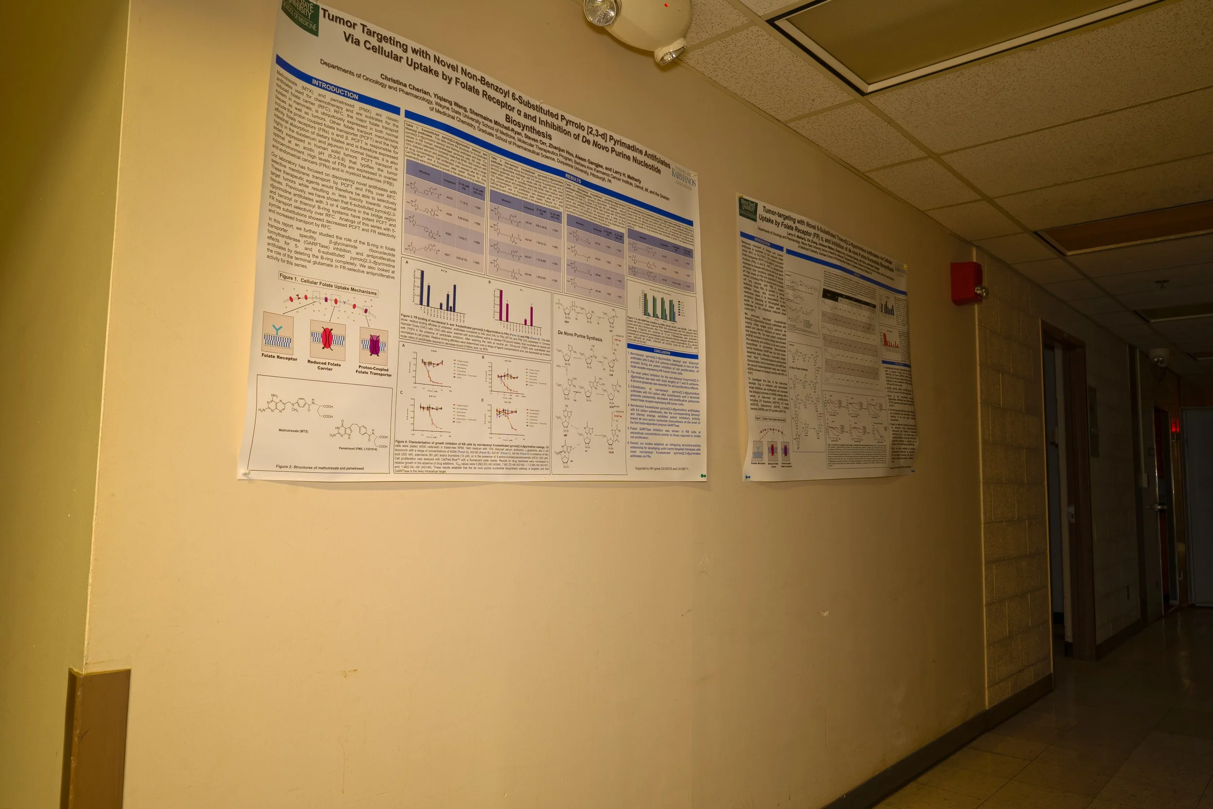 more posters in 4th floor hallway
