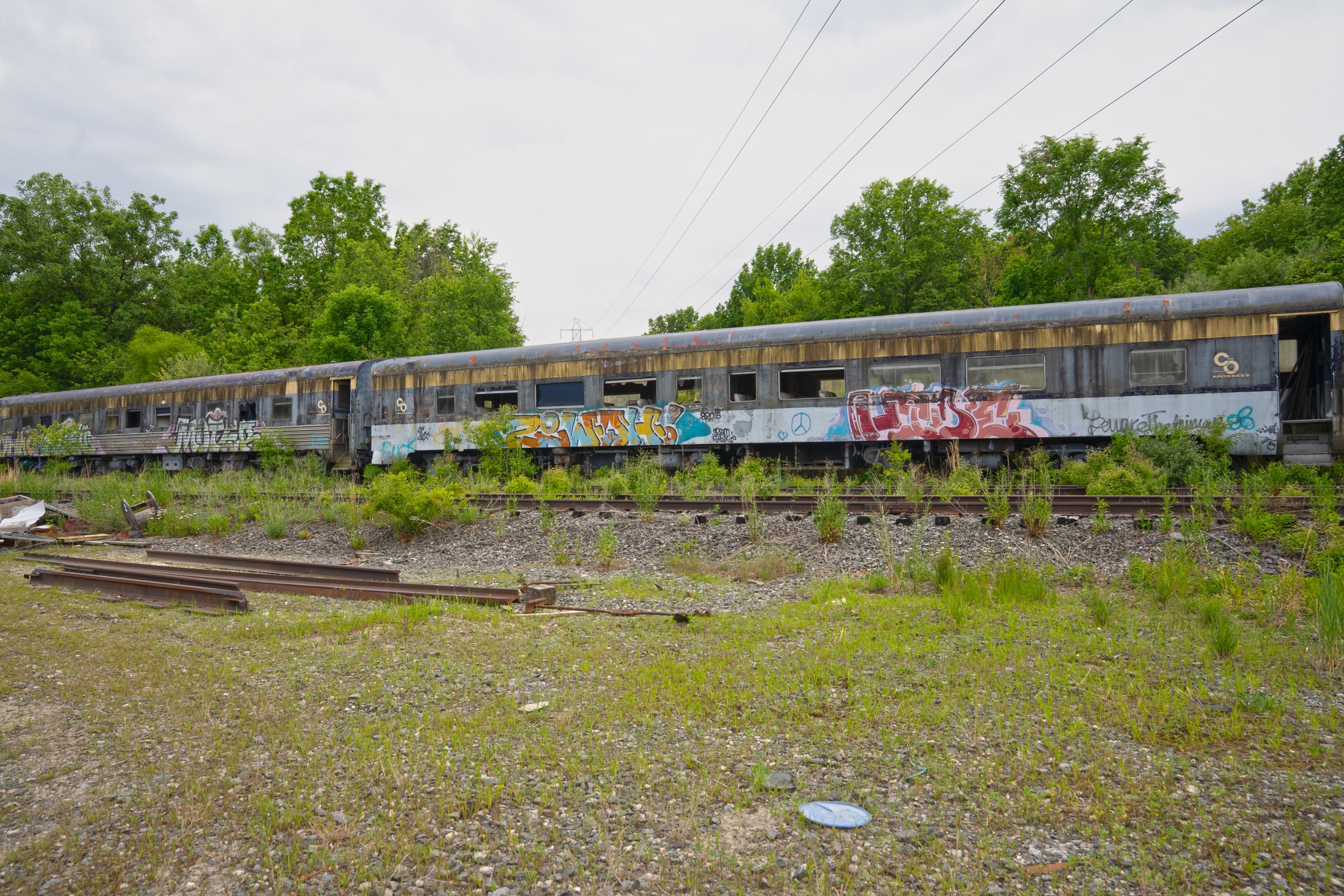 DSC06278.jpg