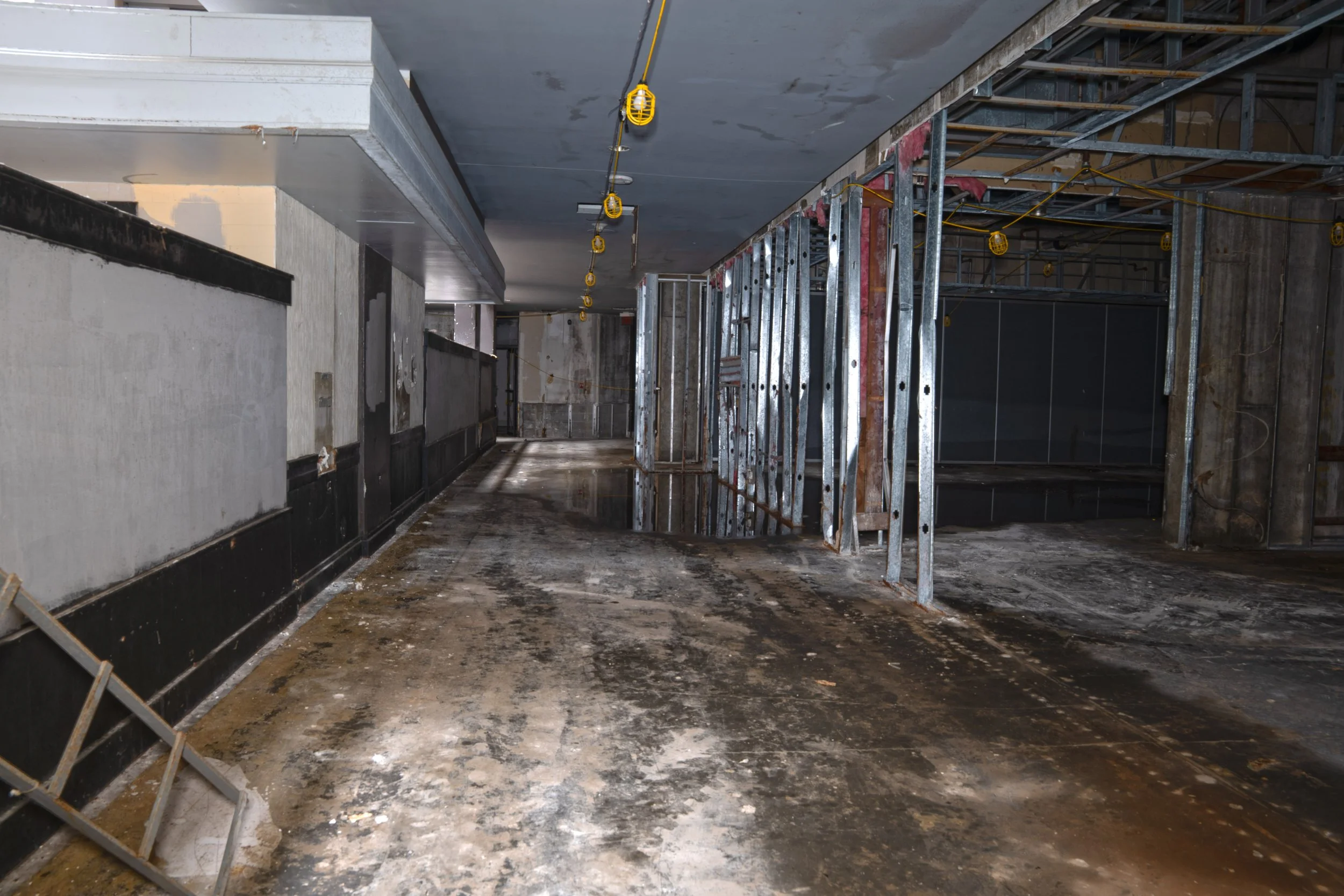 Due to renovation work many sections of the building have been striped to studs