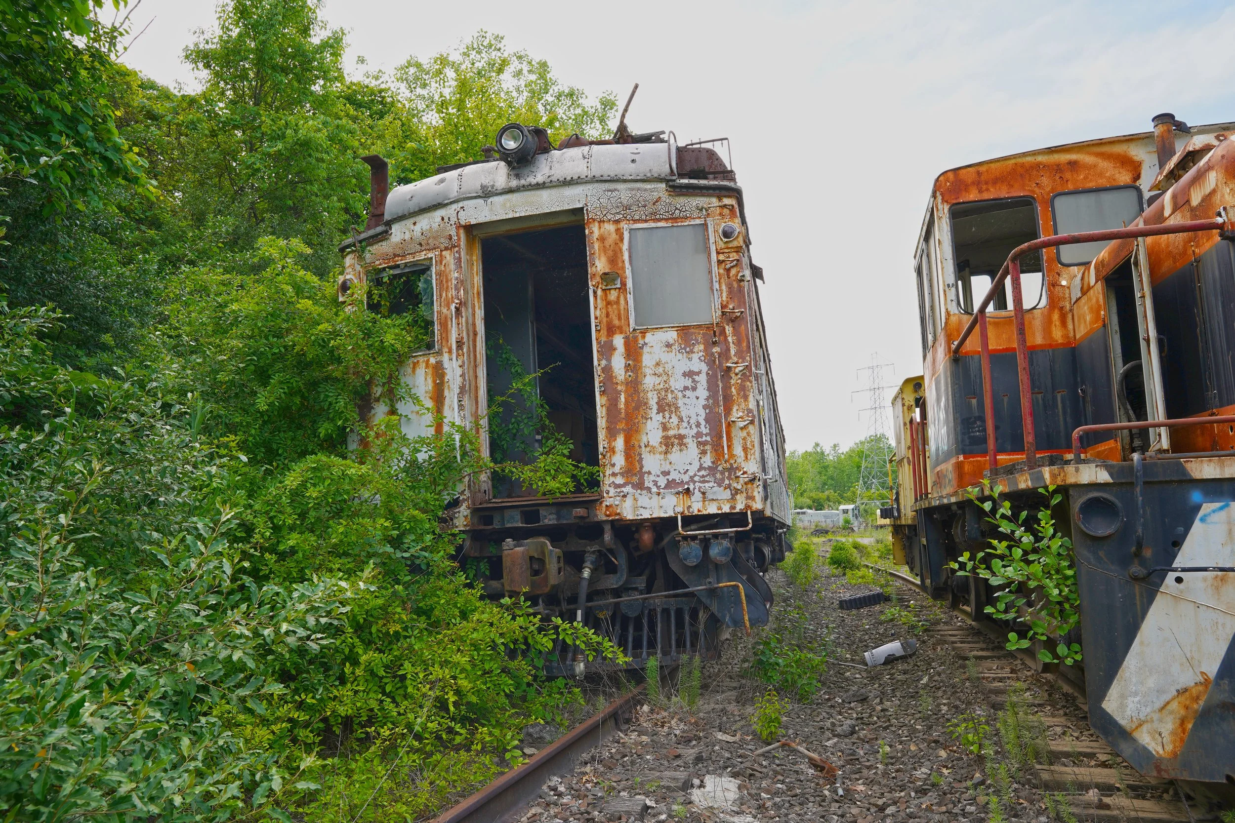DSC06265.jpg