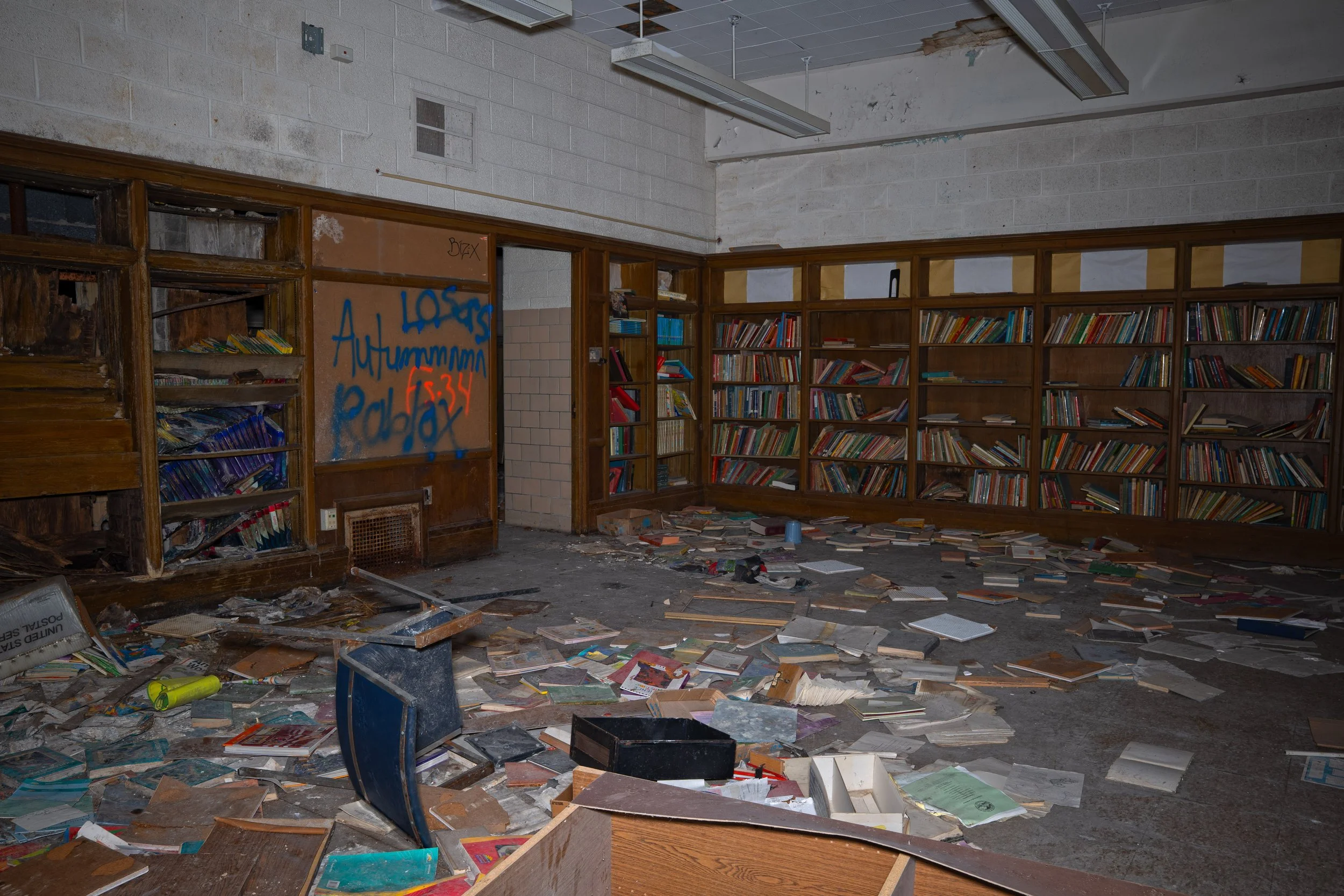 Library shot 3