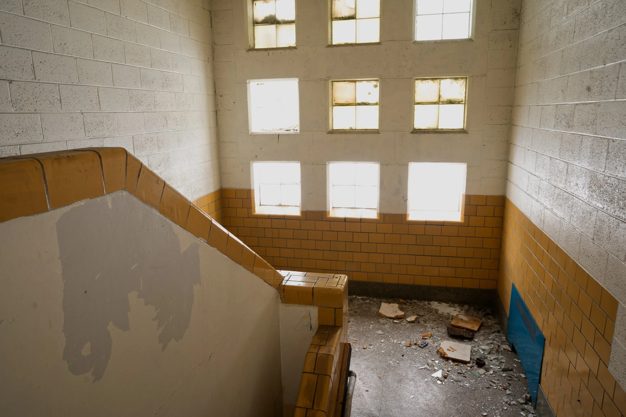 Vetal has a very unique window design in one of the 1950s additions featuring a 9 panel window space)