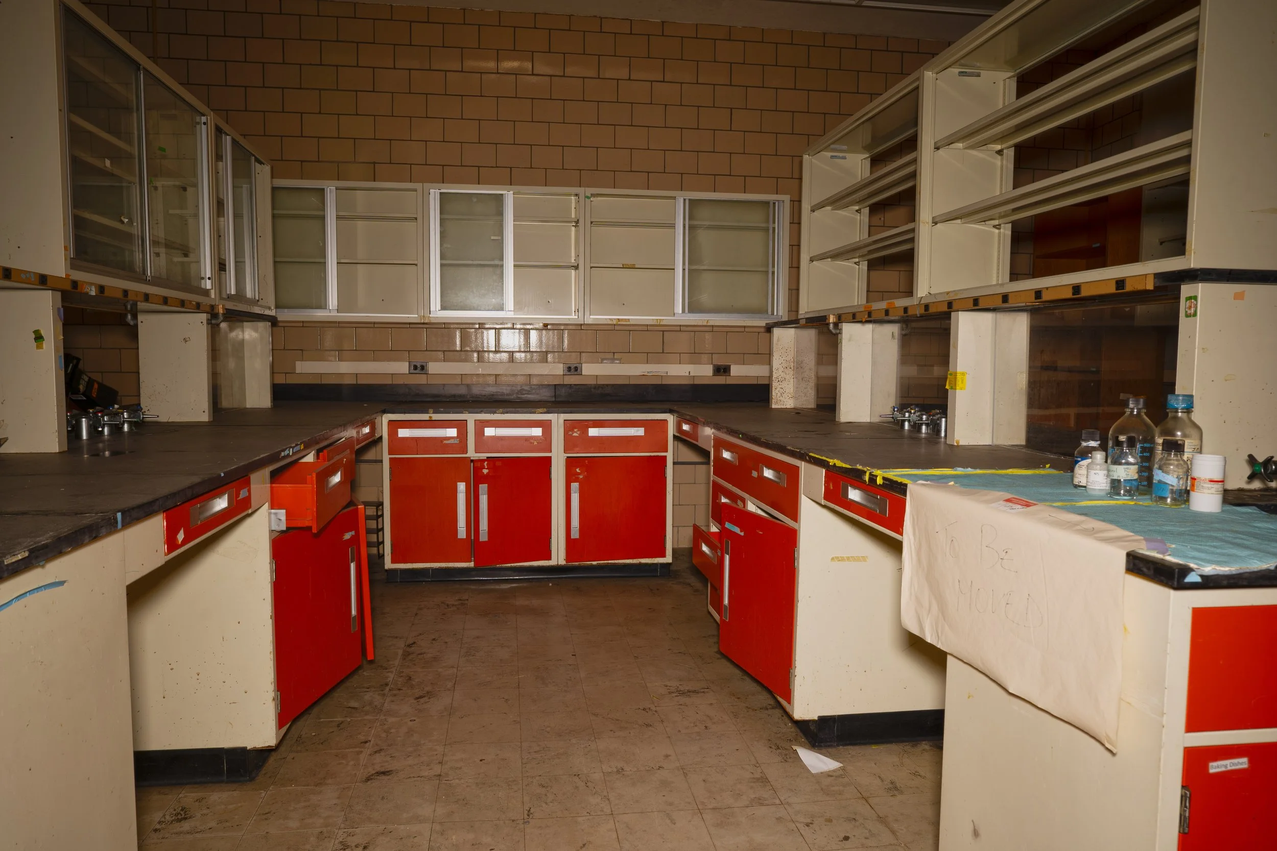 that same lab