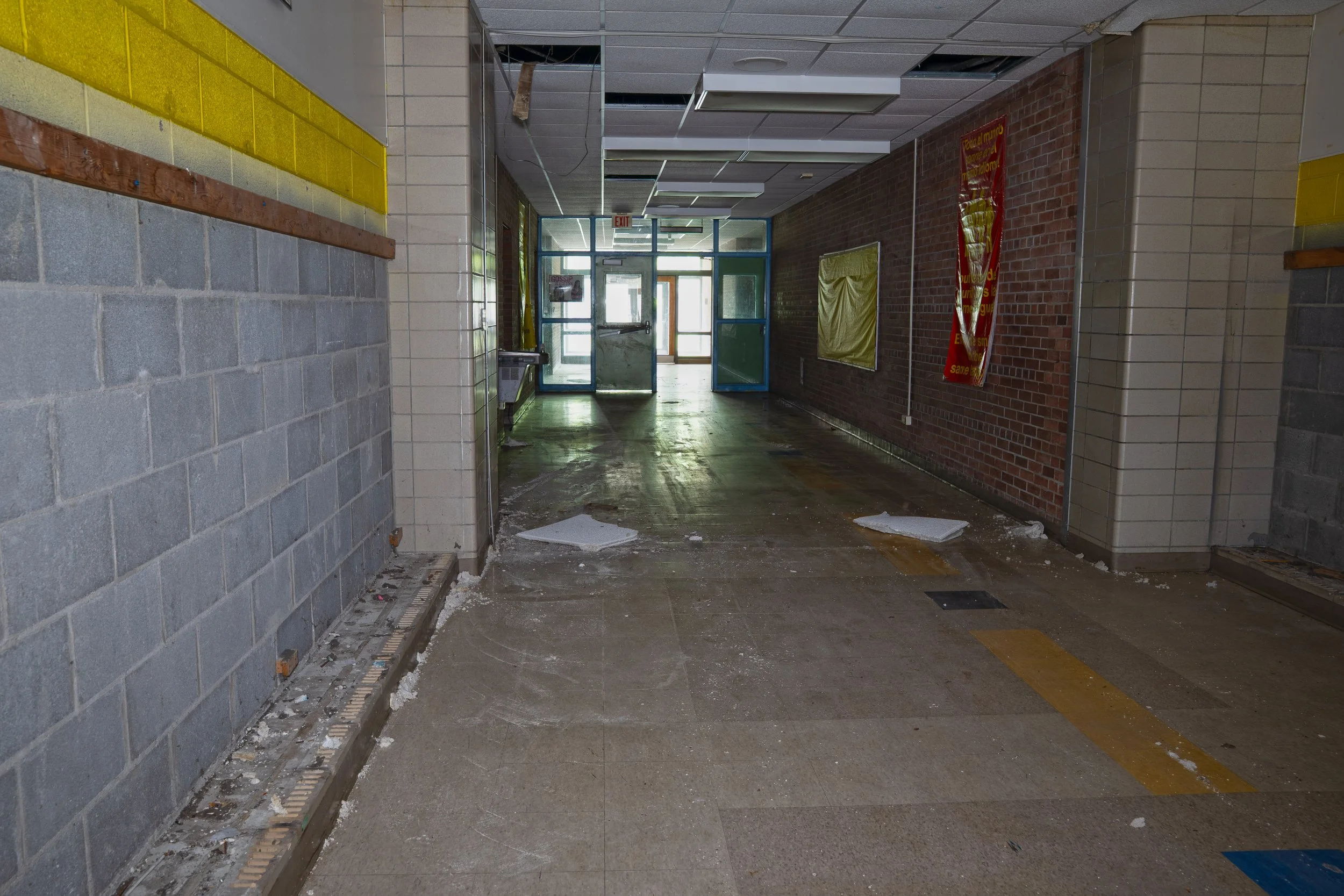 DSC05794.jpg