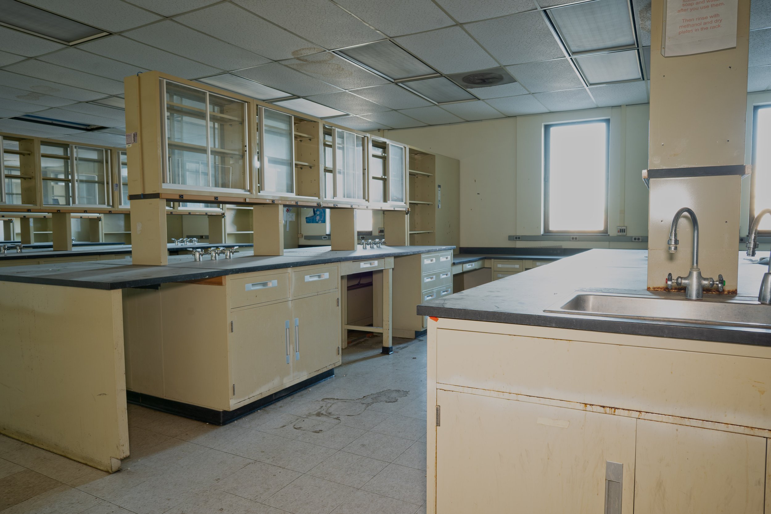 that same lab