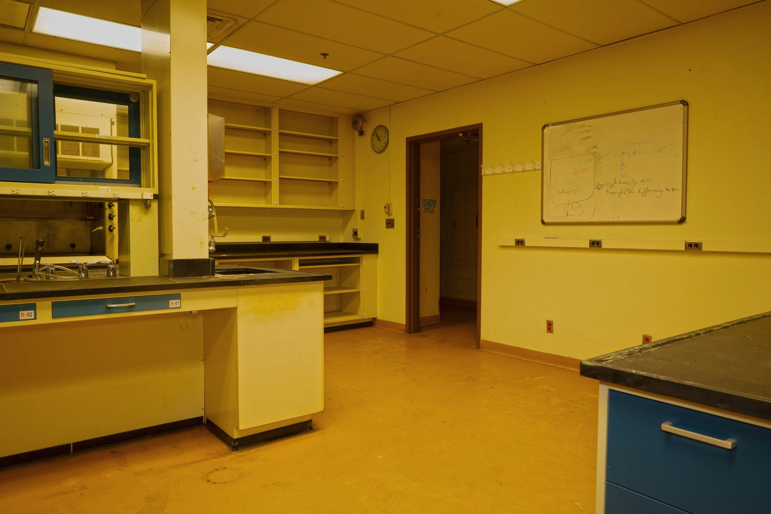 that same lab