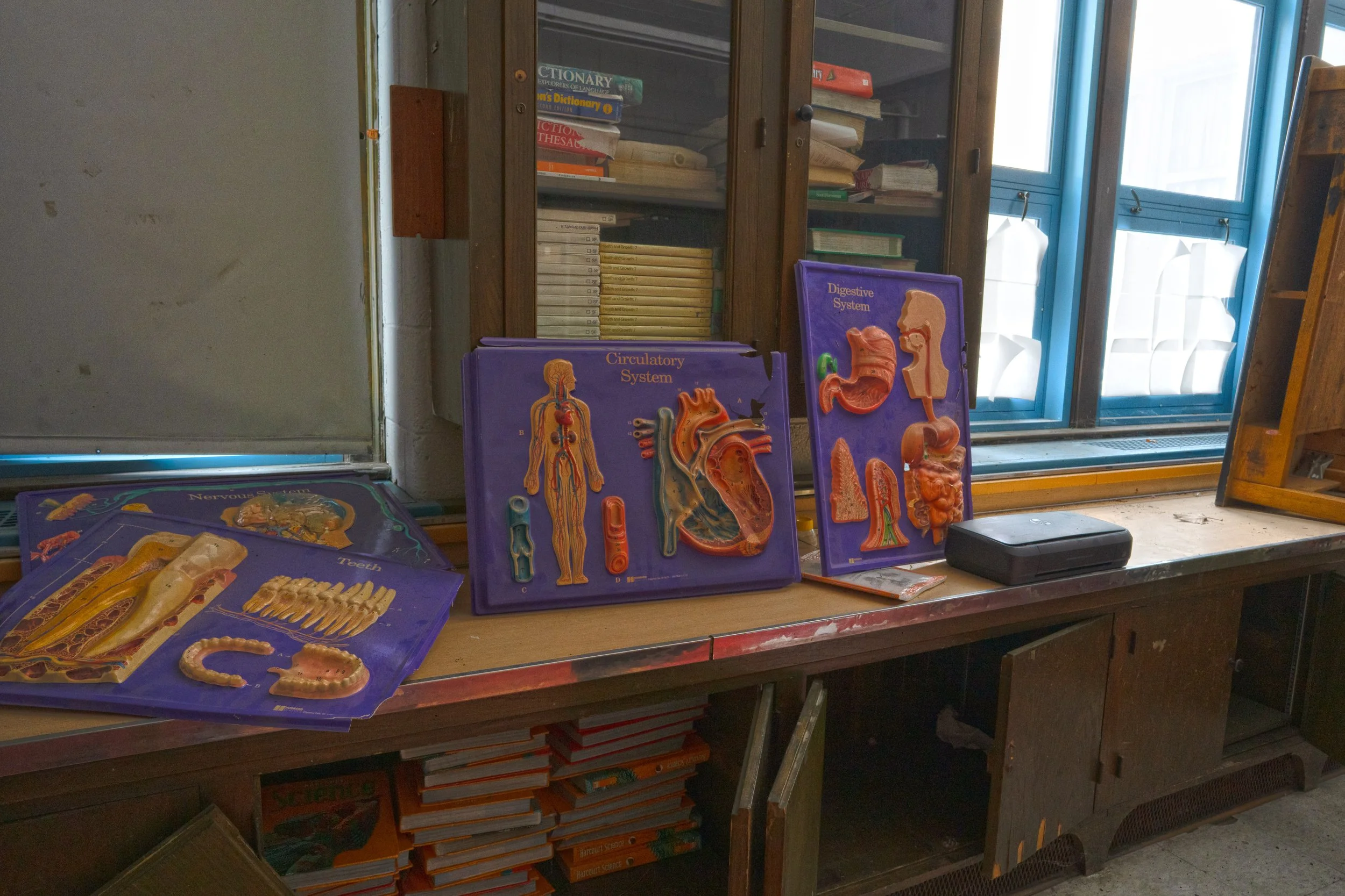 Human body diagrams in a 1st floor classroom