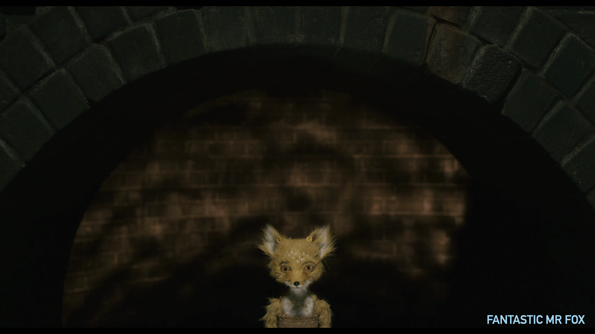 Week 5.025.png