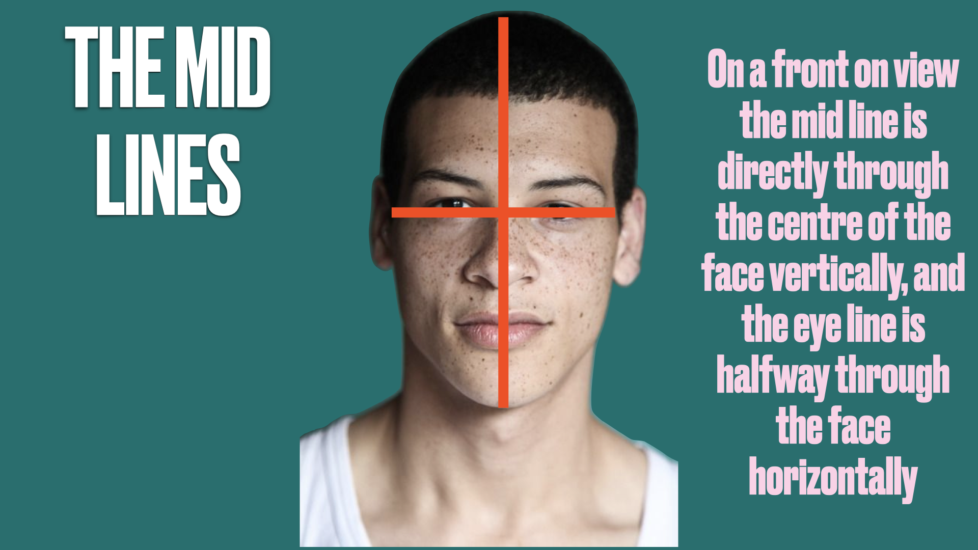 the head.014.png