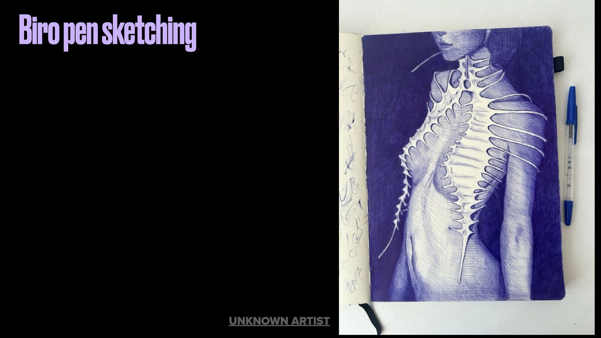 Sketchbook 1.019.png