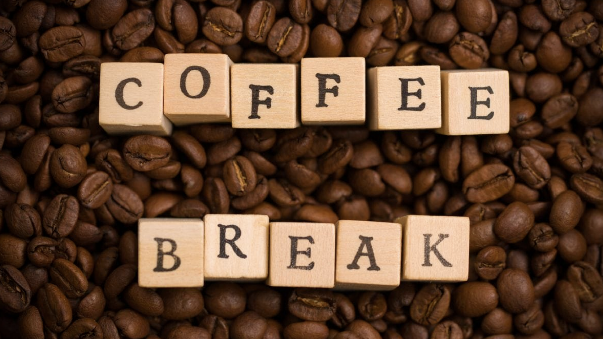 Sketchbook 1.018.png