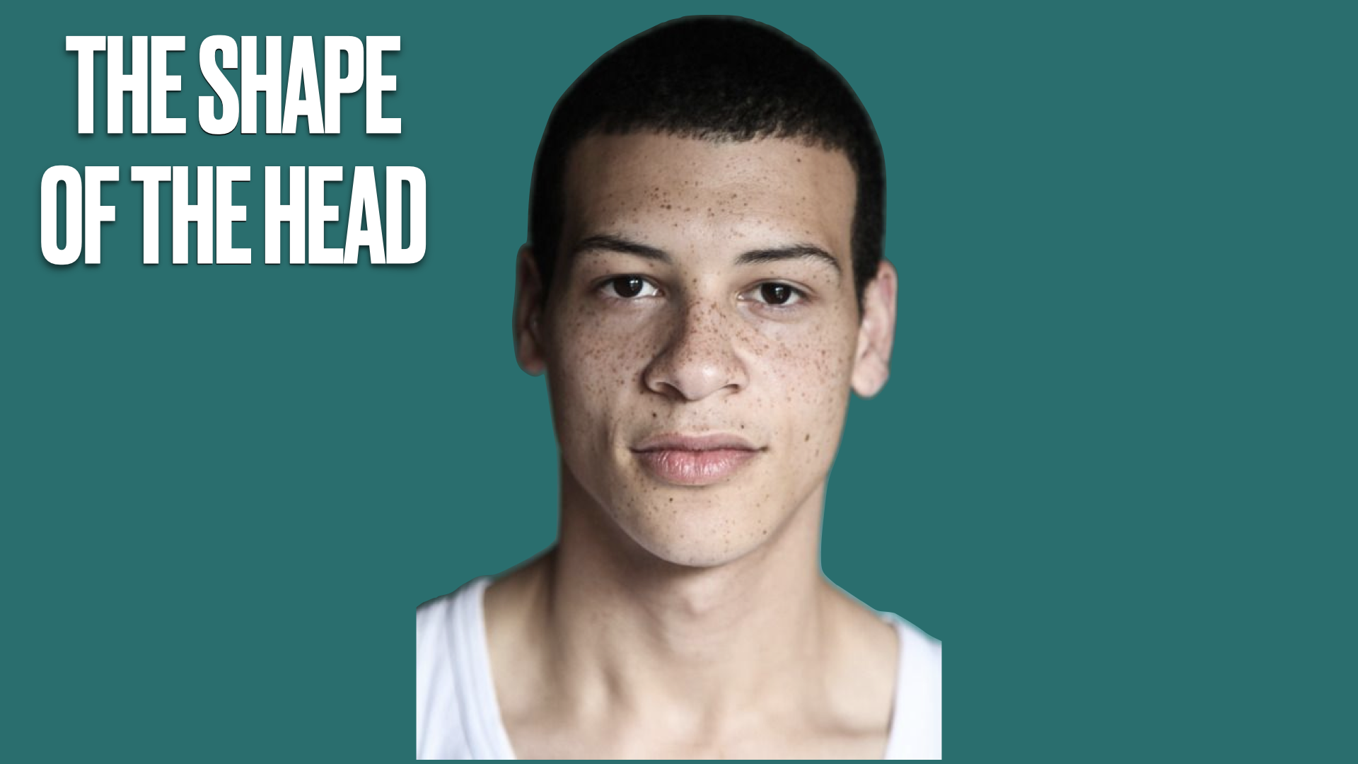 the head.013.png