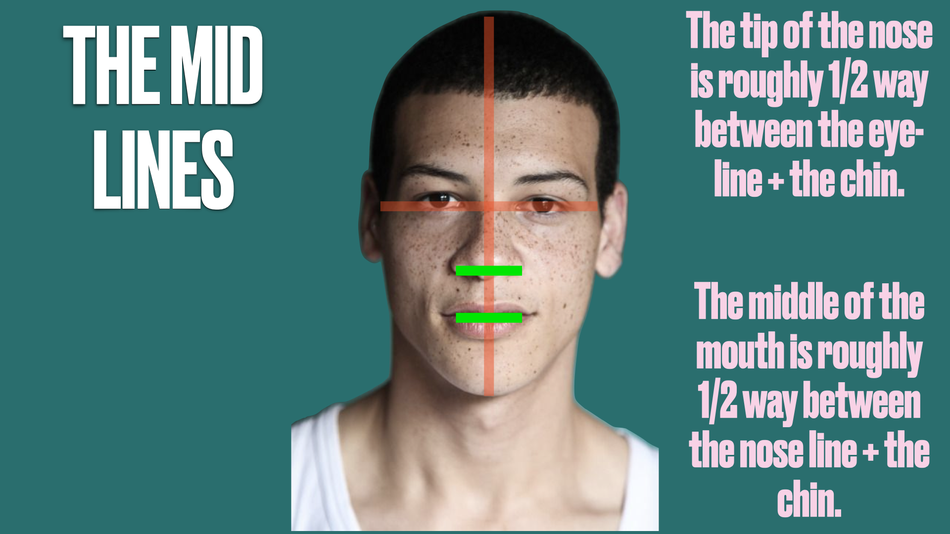 the head.015.png