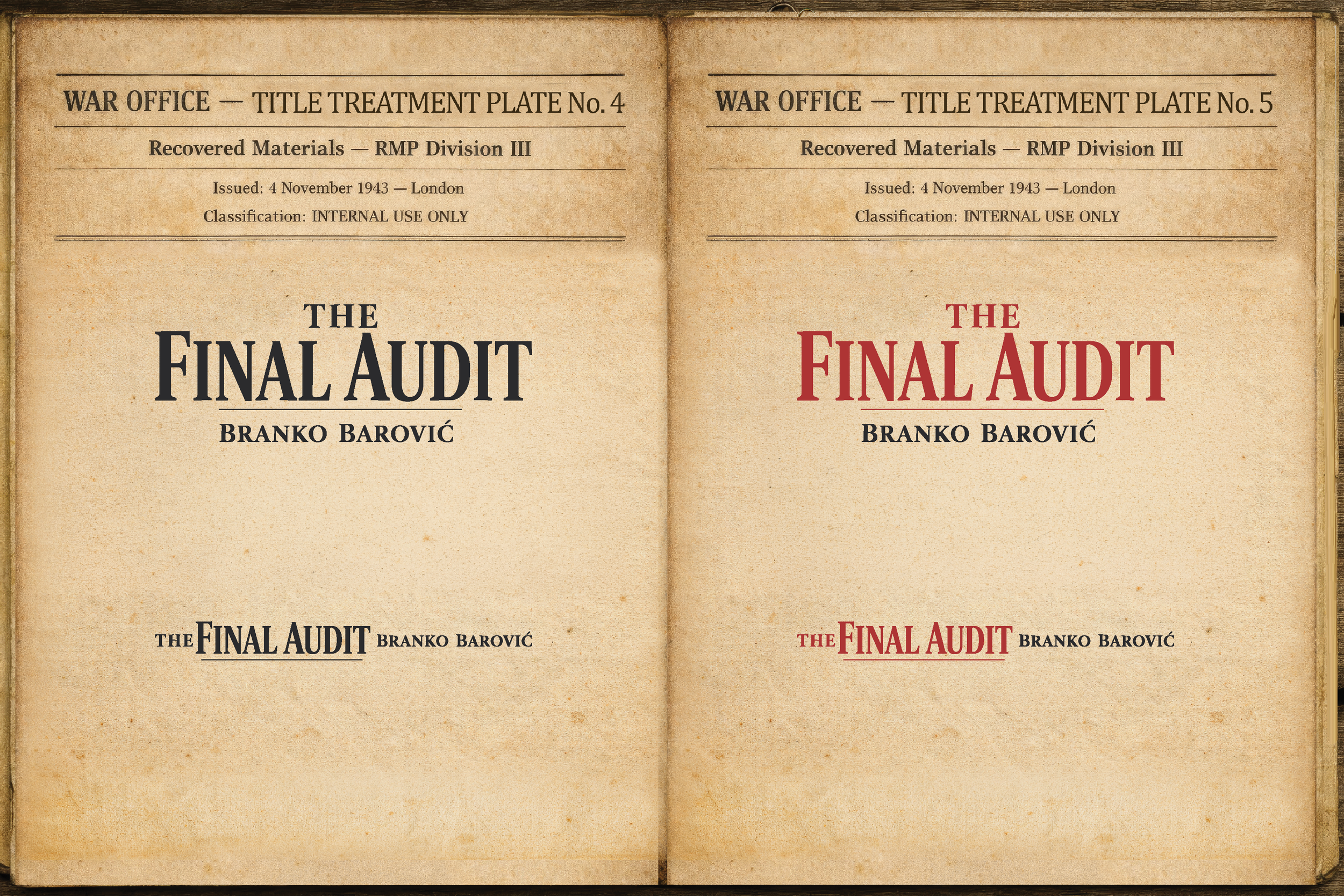 The Final Audit_BMJovanovic_Presentation_19_July_2610.png