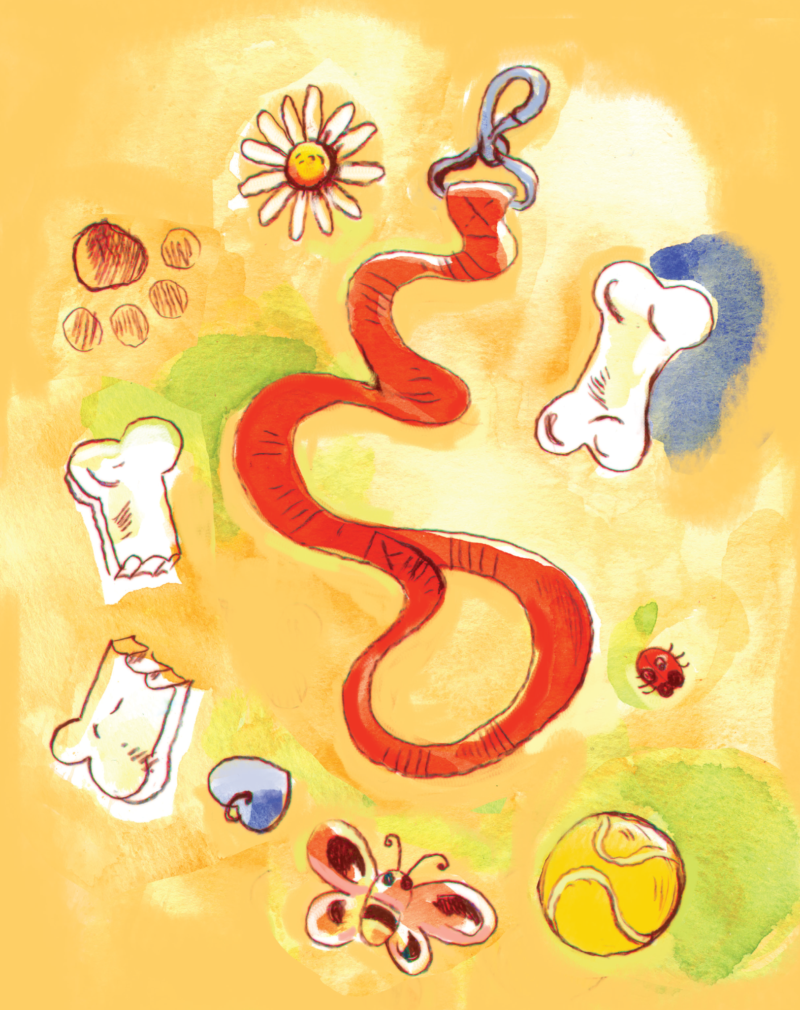 Papito and the Golden Pages Interiors 05 01 2020-28.png