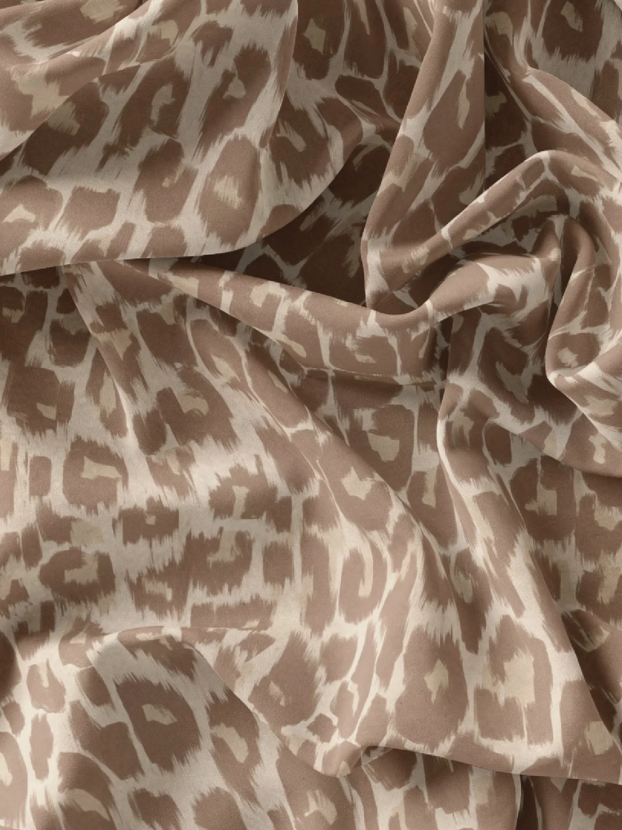 leopard-07.jpg