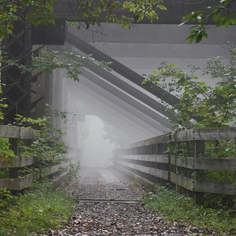 Judy Foster 
 Photography