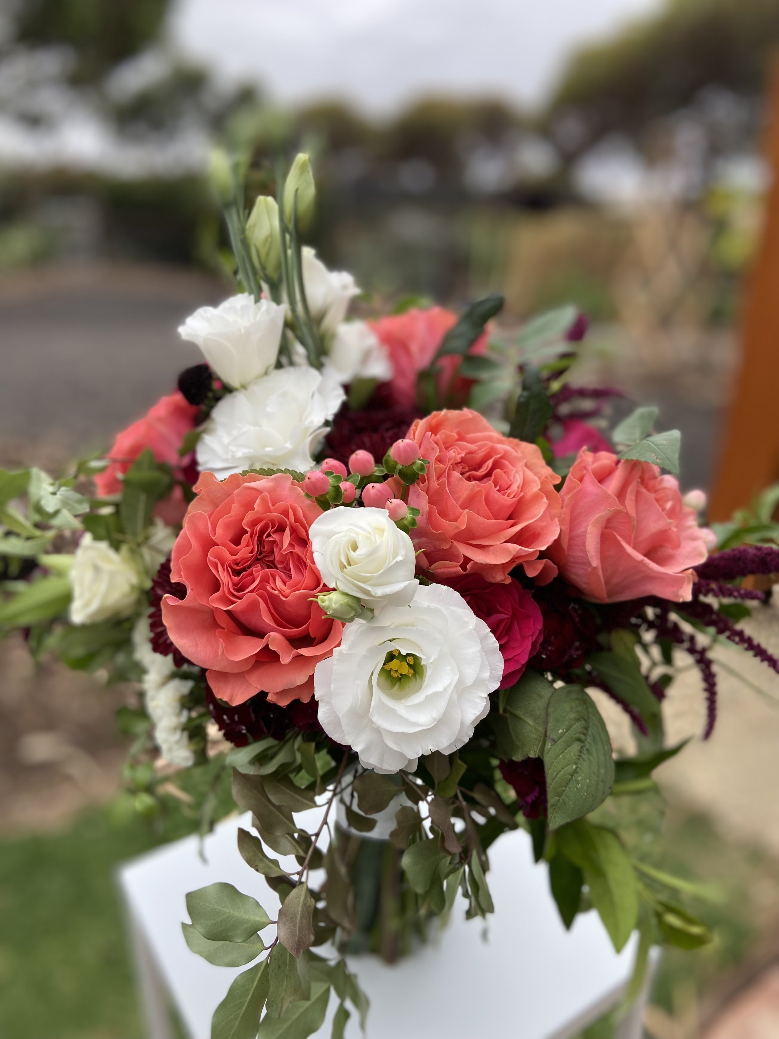 IMG_1960.jpeg