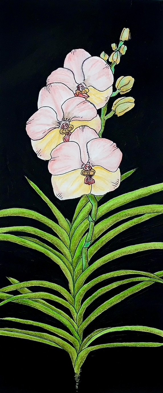 Vanda Orchid Print