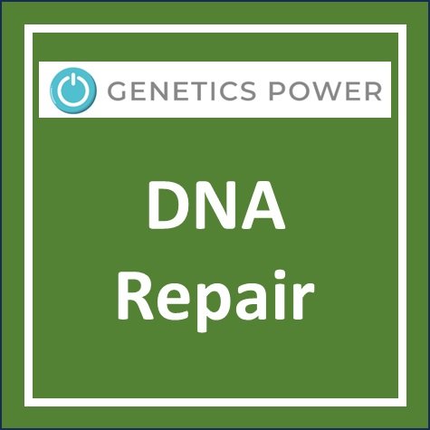 DNA Repair.jpg