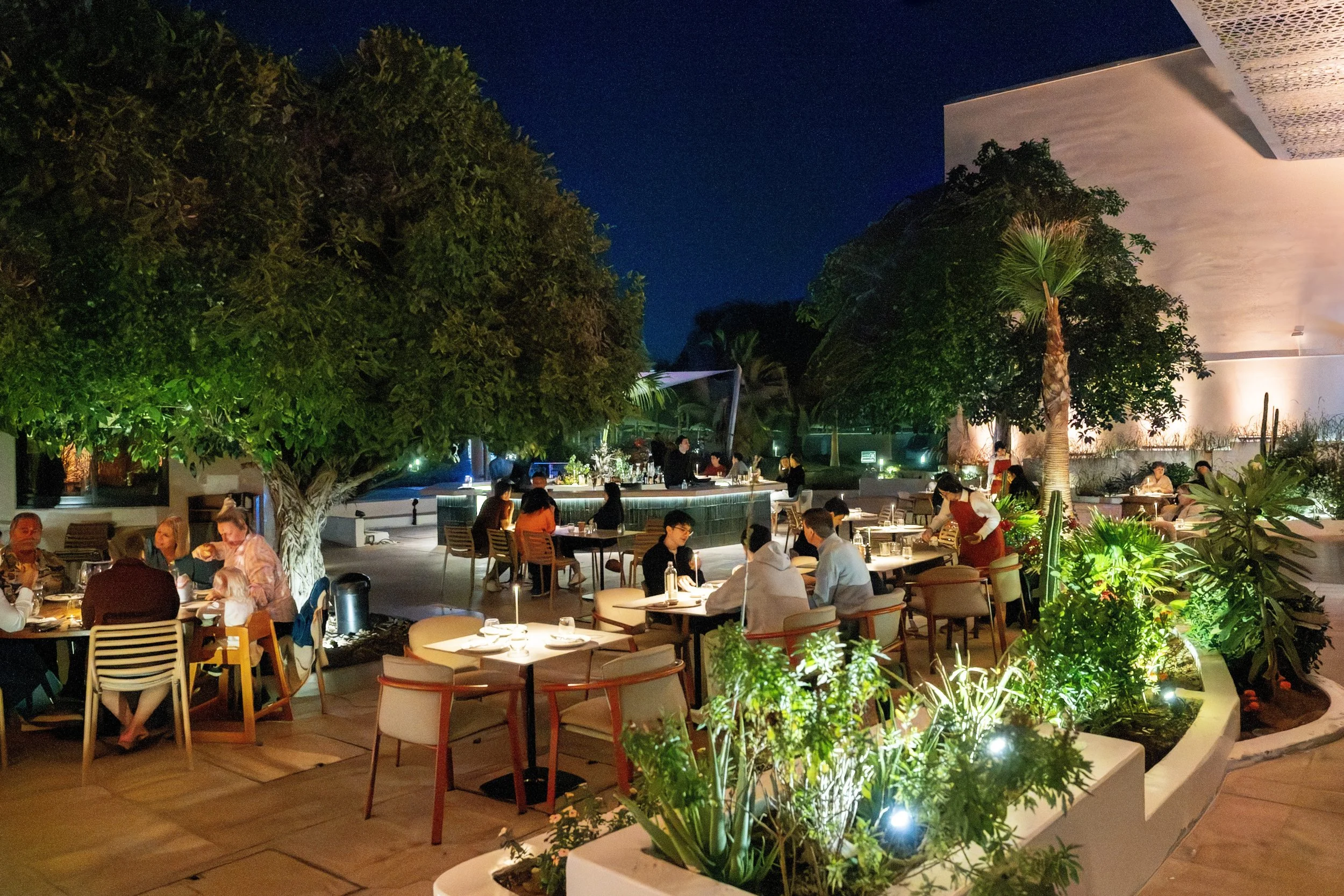 A garden, lit and set for dinner.