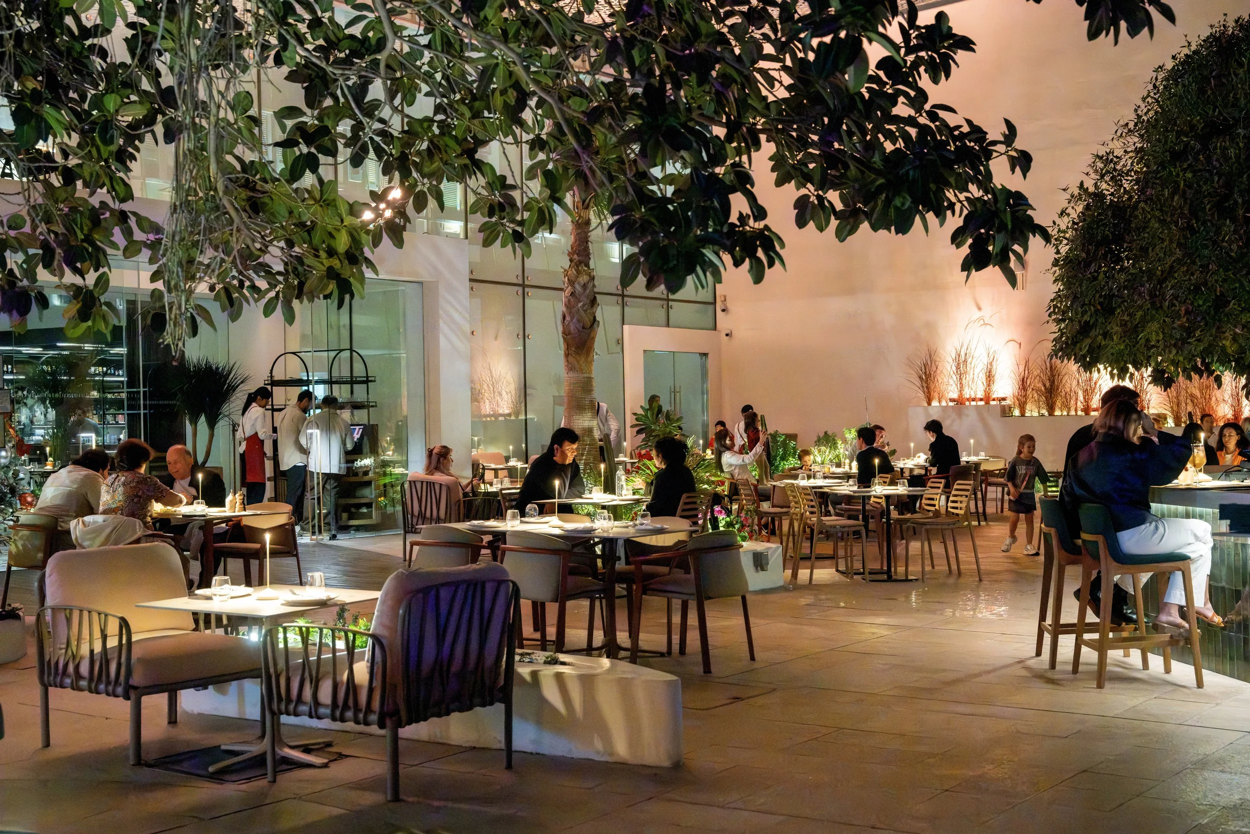 Dining outside — leaves overhead, light spilling from the room.
