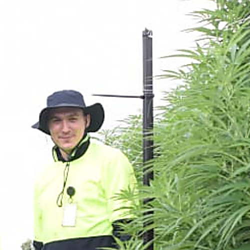 Kaston Anderson Director and Cultivator of licensed medical cannabis