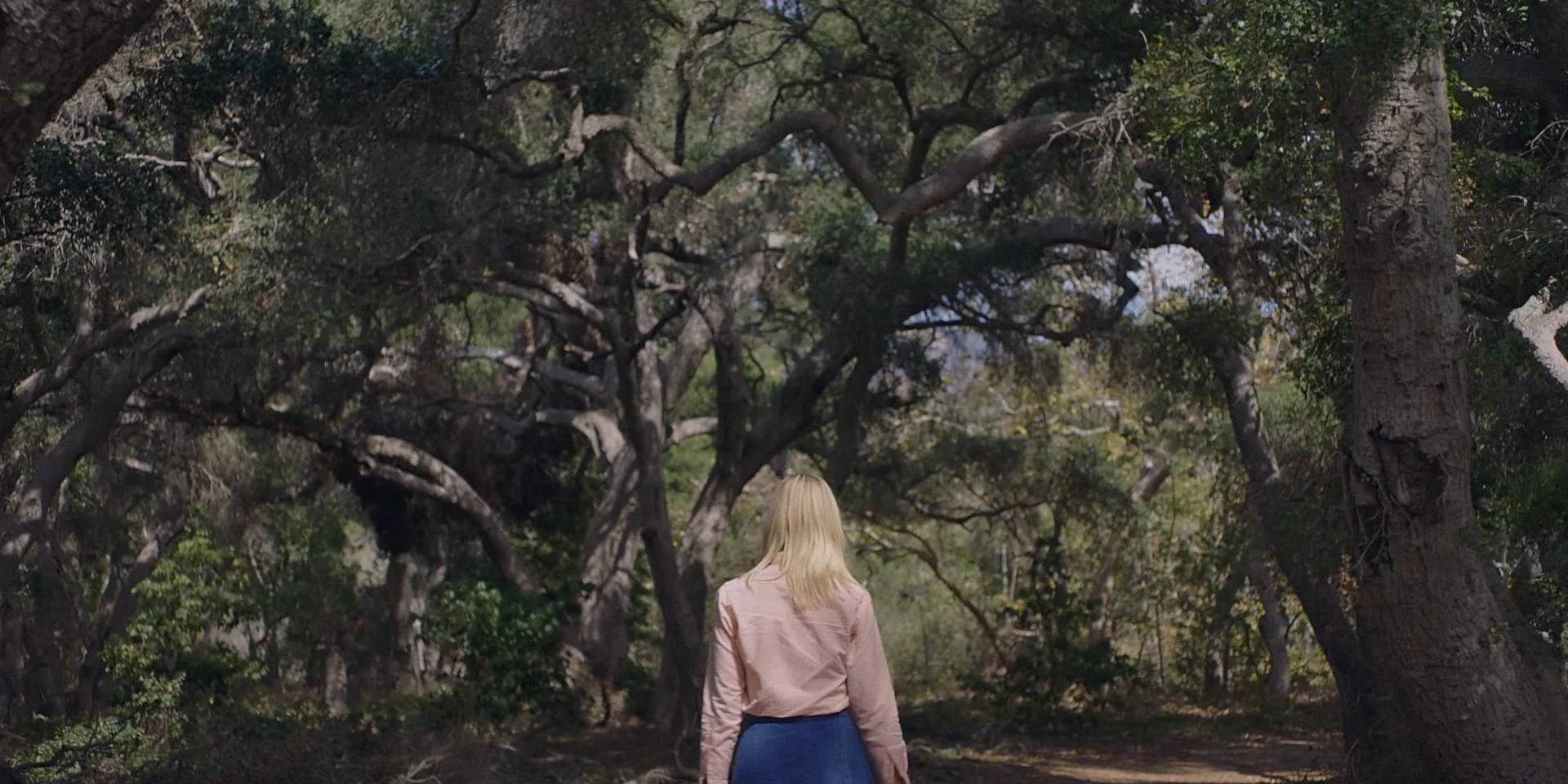 TWISTED ROOT (FEATURE, UNPRODUCED)