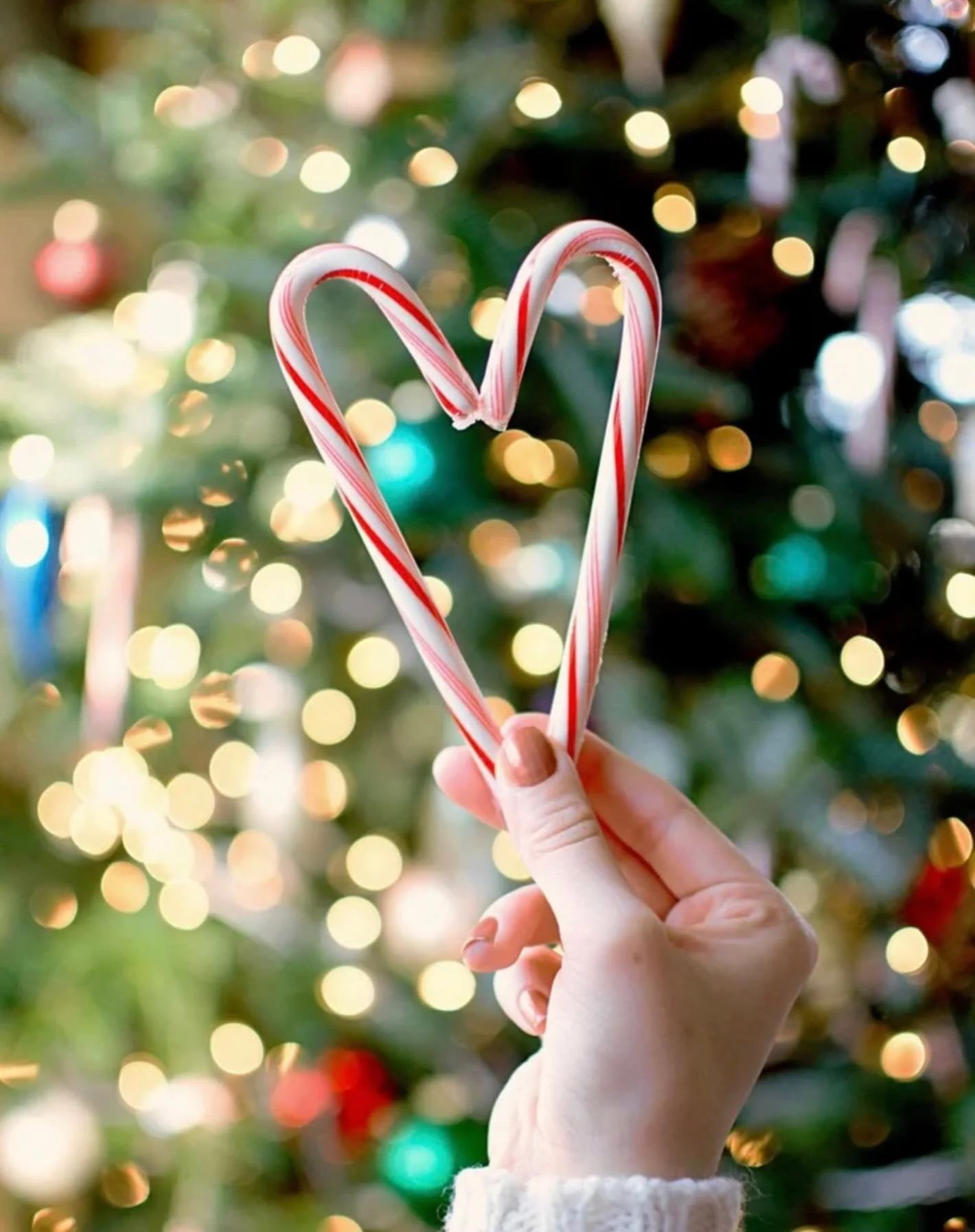 Wishing you a holiday season filled with peace and love! 

May you enjoy this time with family, take time for yourself and celebrate the season in a way that feels good to you.

Cheers,
Michelle