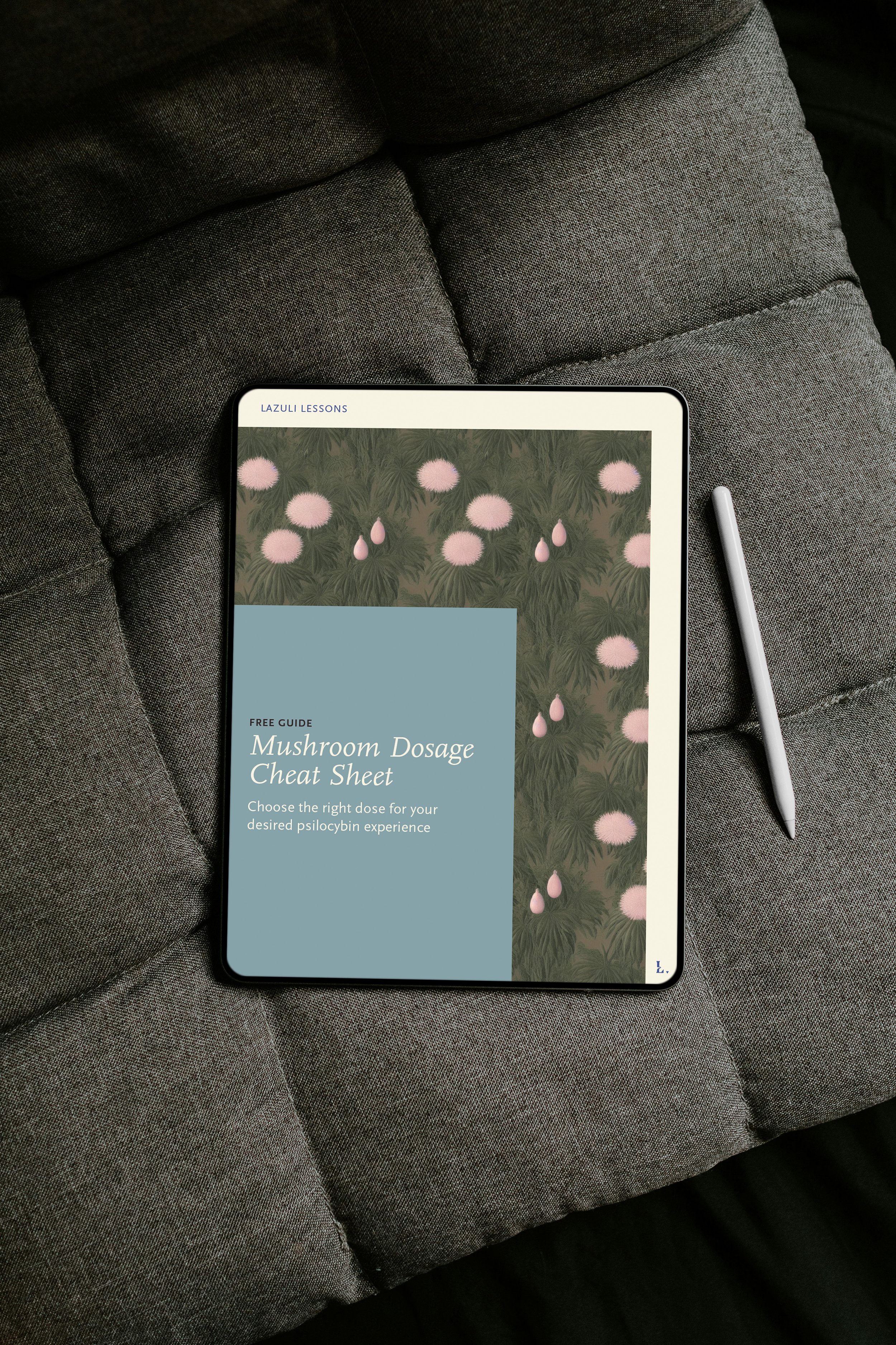 Free iPad Pro with Pencil Mockup.jpg