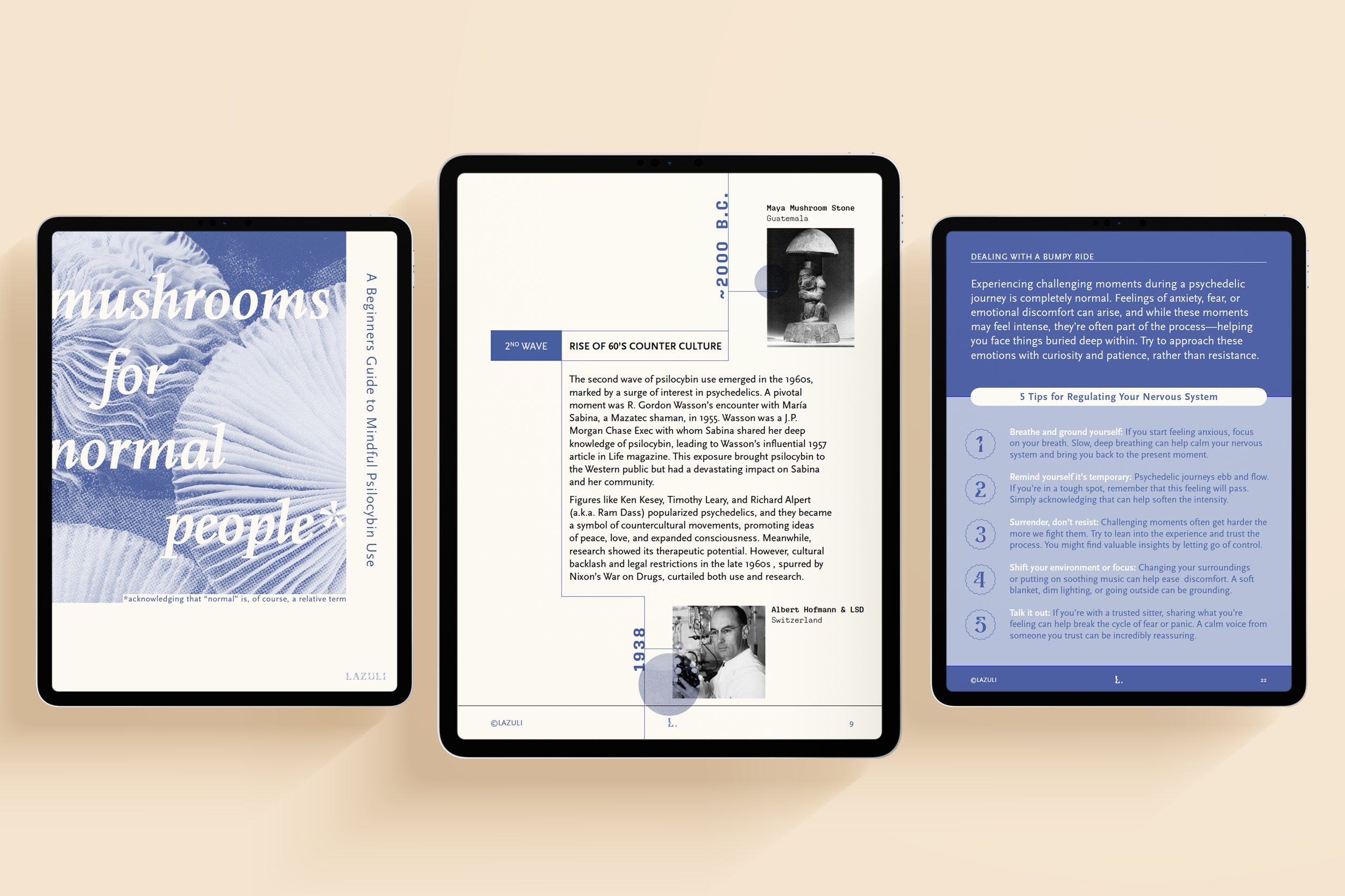 MFNP eBook.png