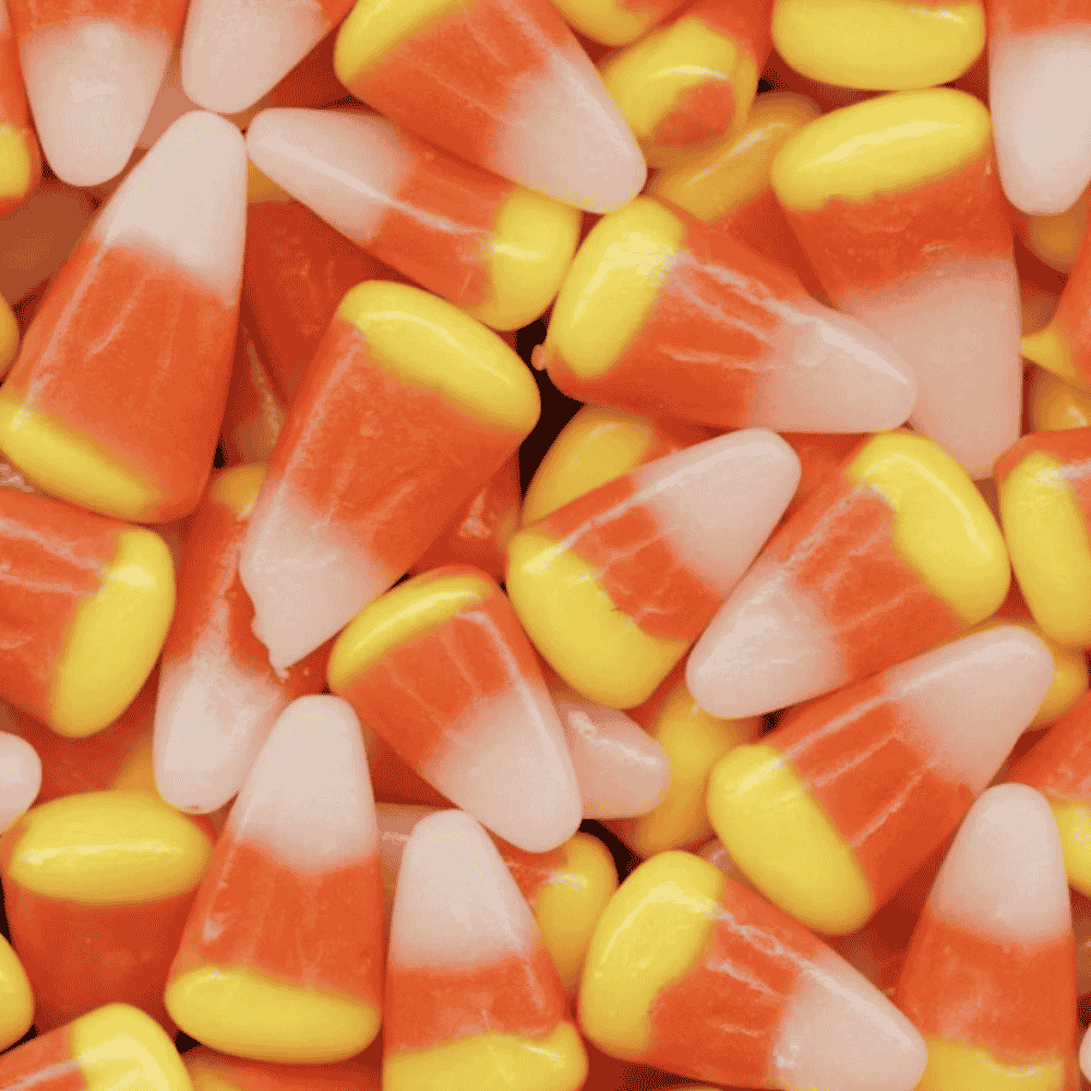 Candy Corn Flowers Bloomed in the Fields