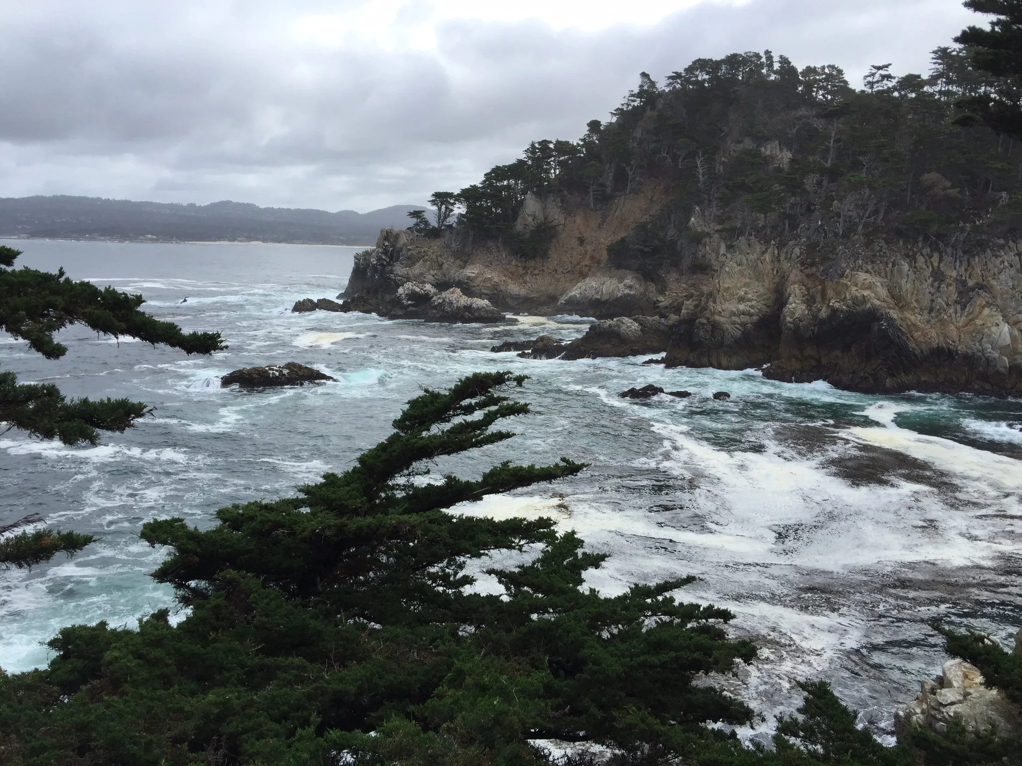 A view from Point Lobos, California