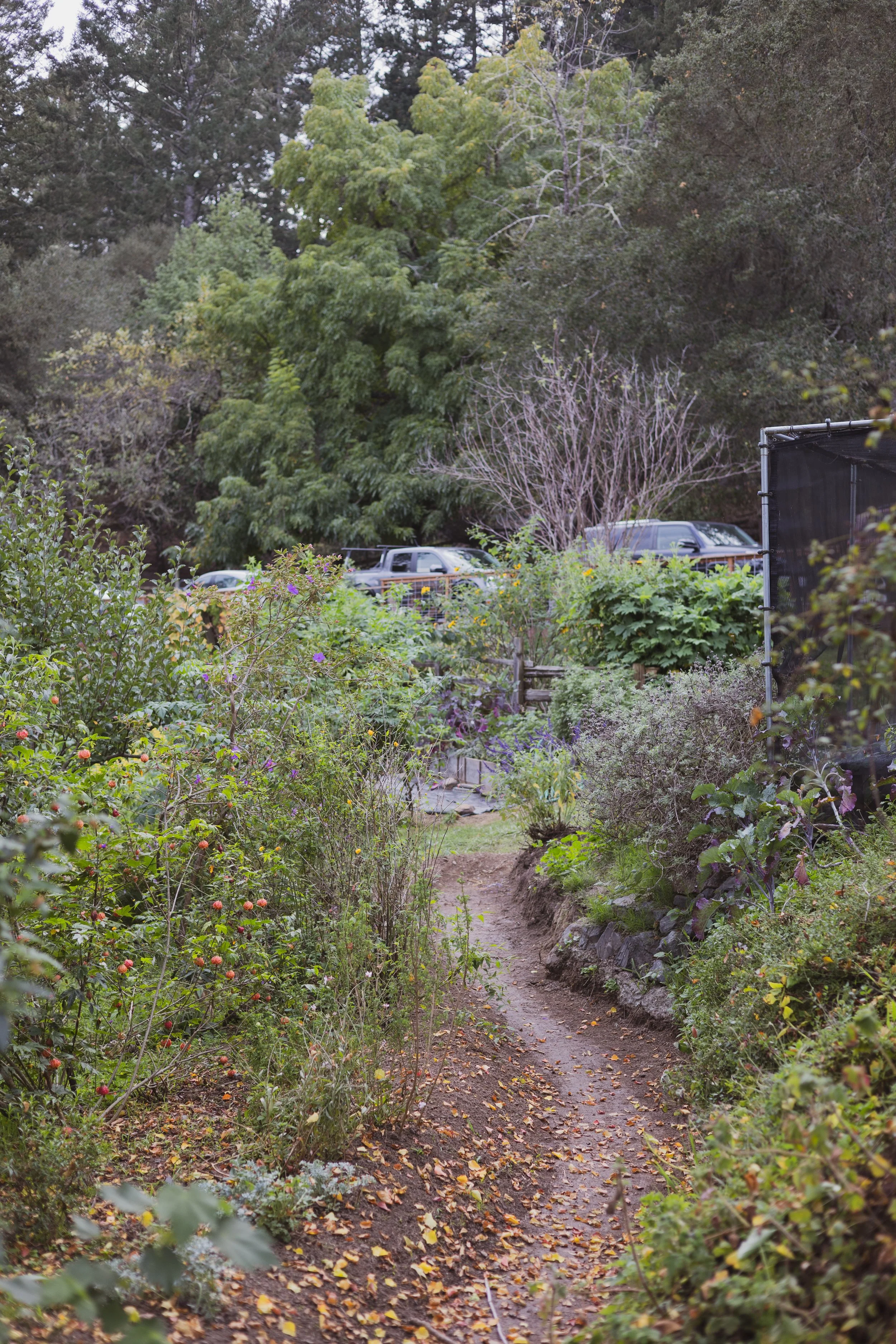 Copy of OAEC-Mending-30.JPEG