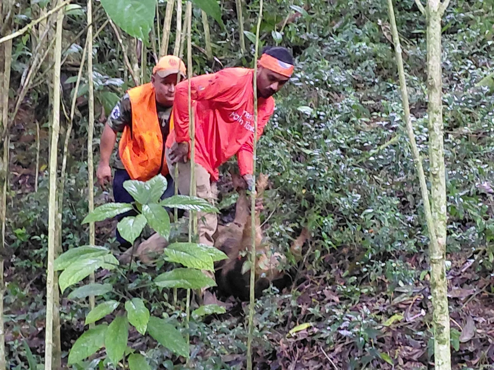 WhatsApp Image 2026-01-24 at 13.04.31 (2).jpeg