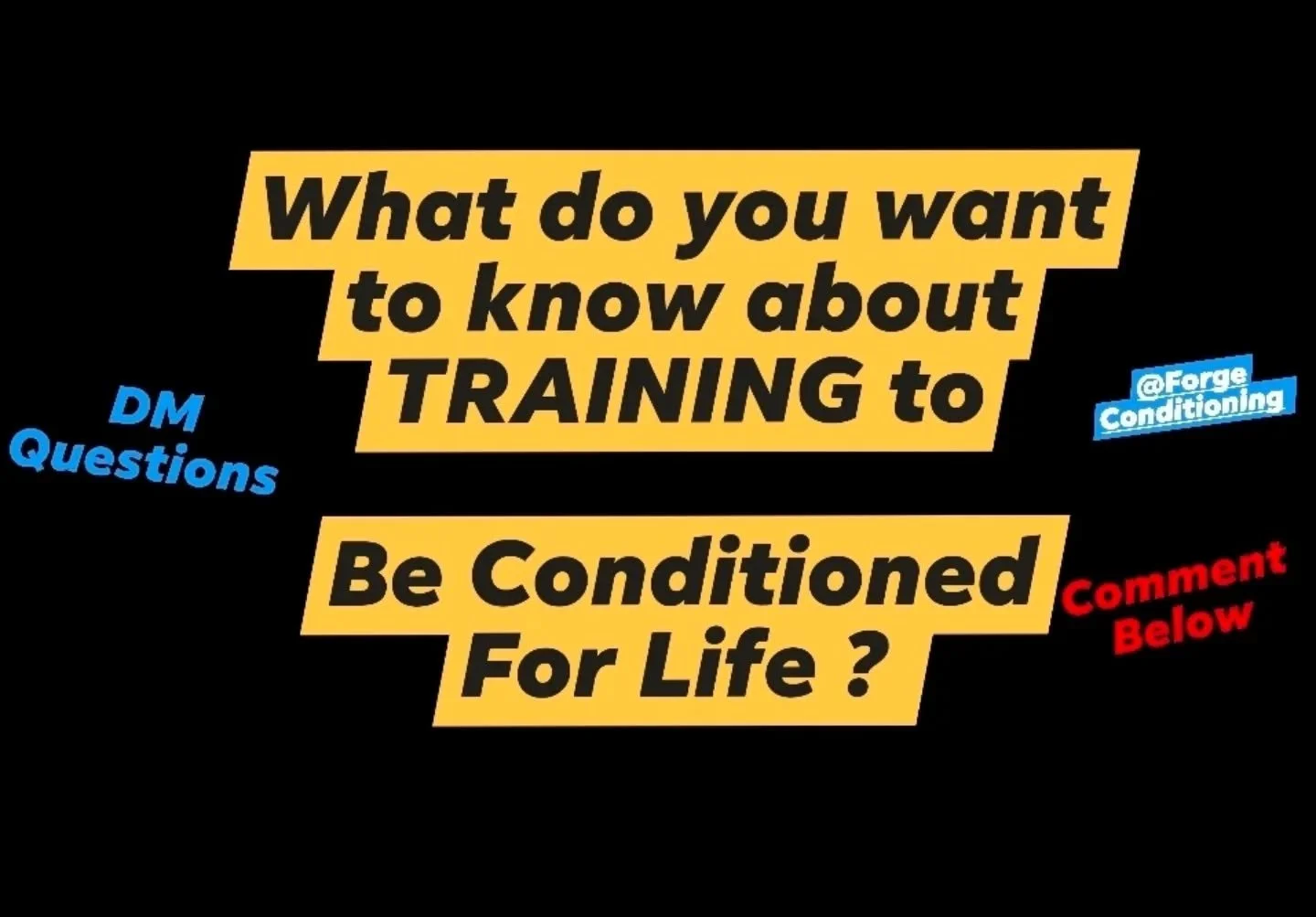 I don't post much as most of the time I'm working in the business and not on the business.

Why is this relevant to you..?

Well this year I want to build the best Personal Training opportunity in Lancaster for you!

I'll be posting more to build my 