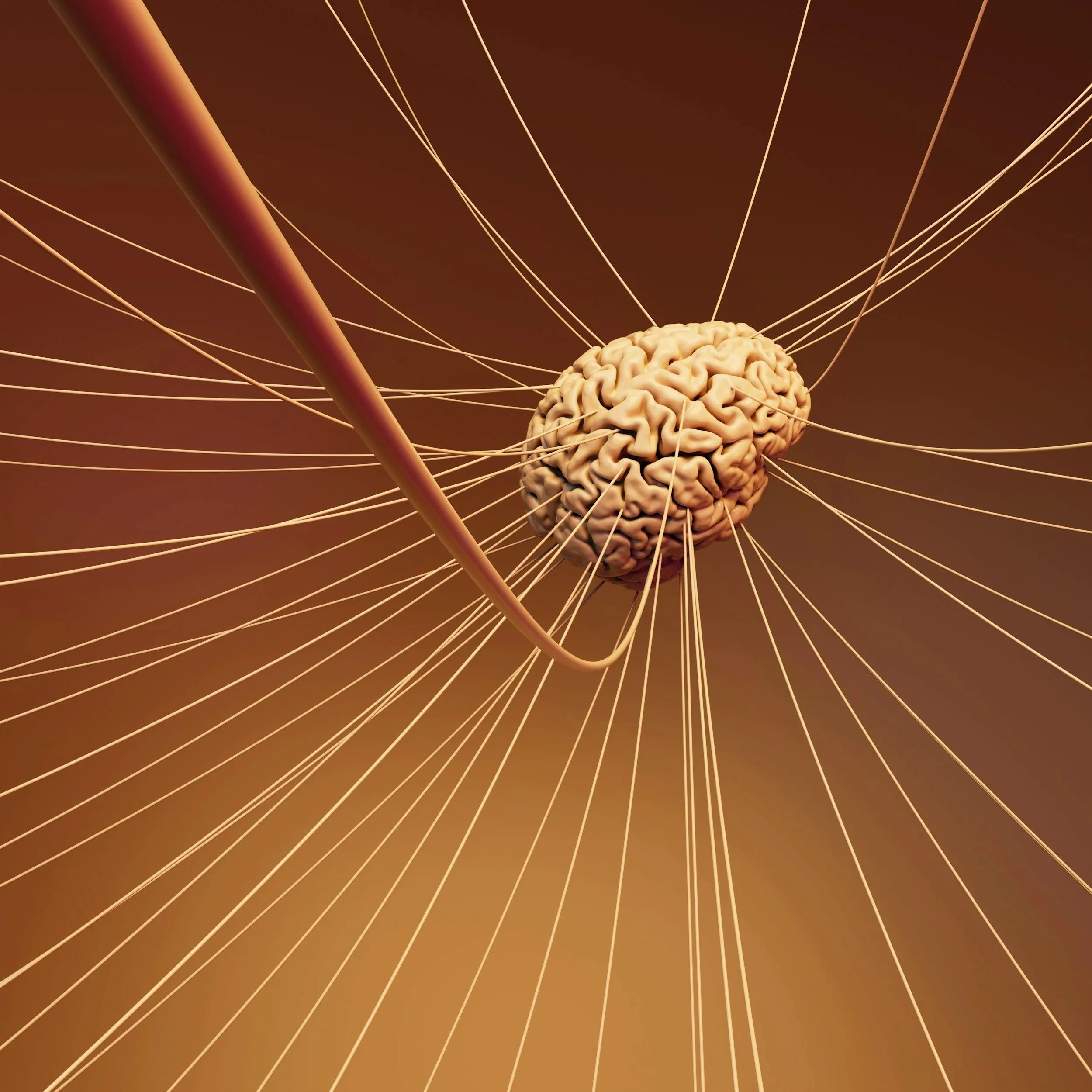 ‘Disorders of the mind’ v ‘disorders of the brain’