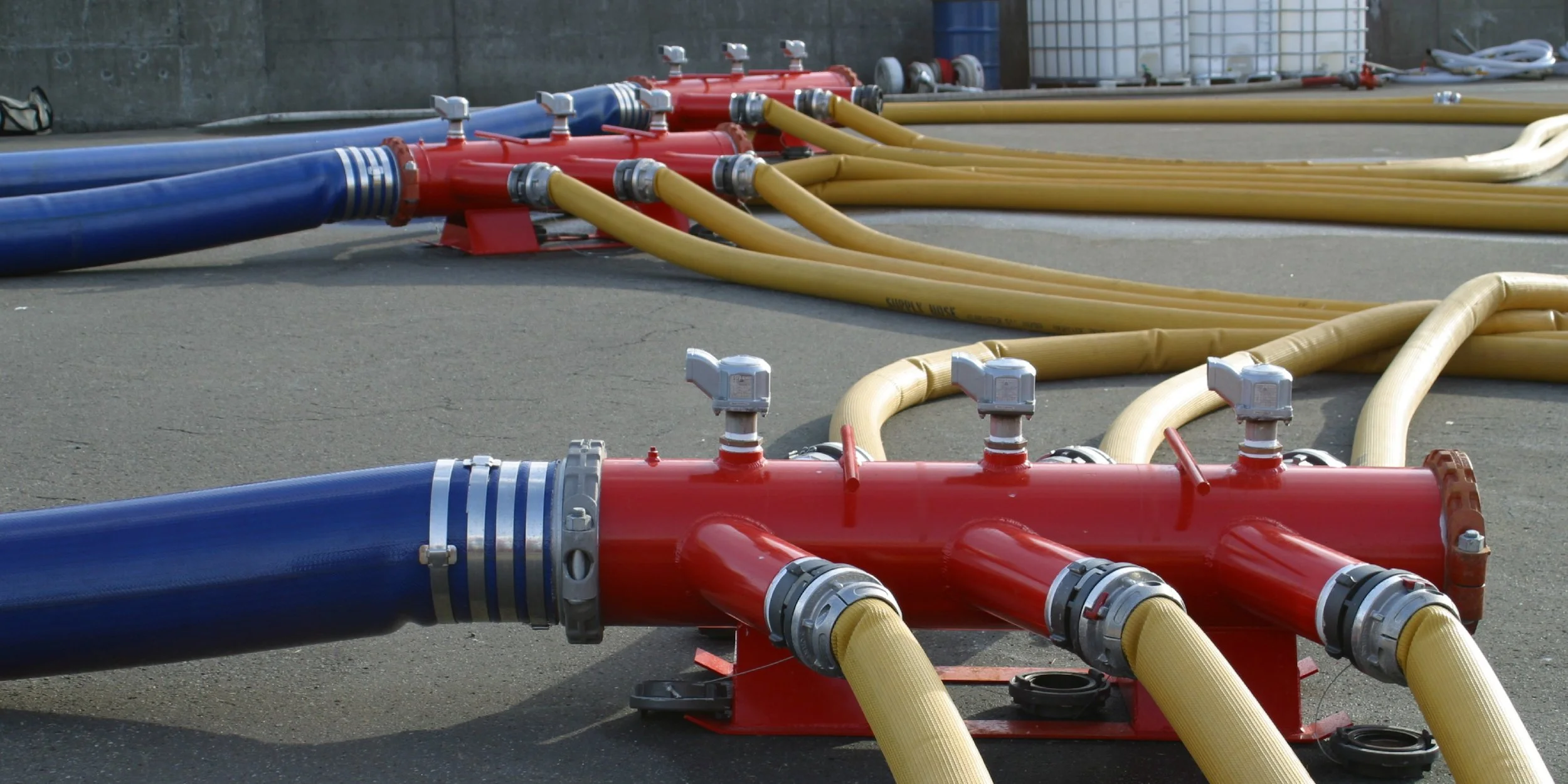 Collecting Heads and Manifolds_P1.jpg