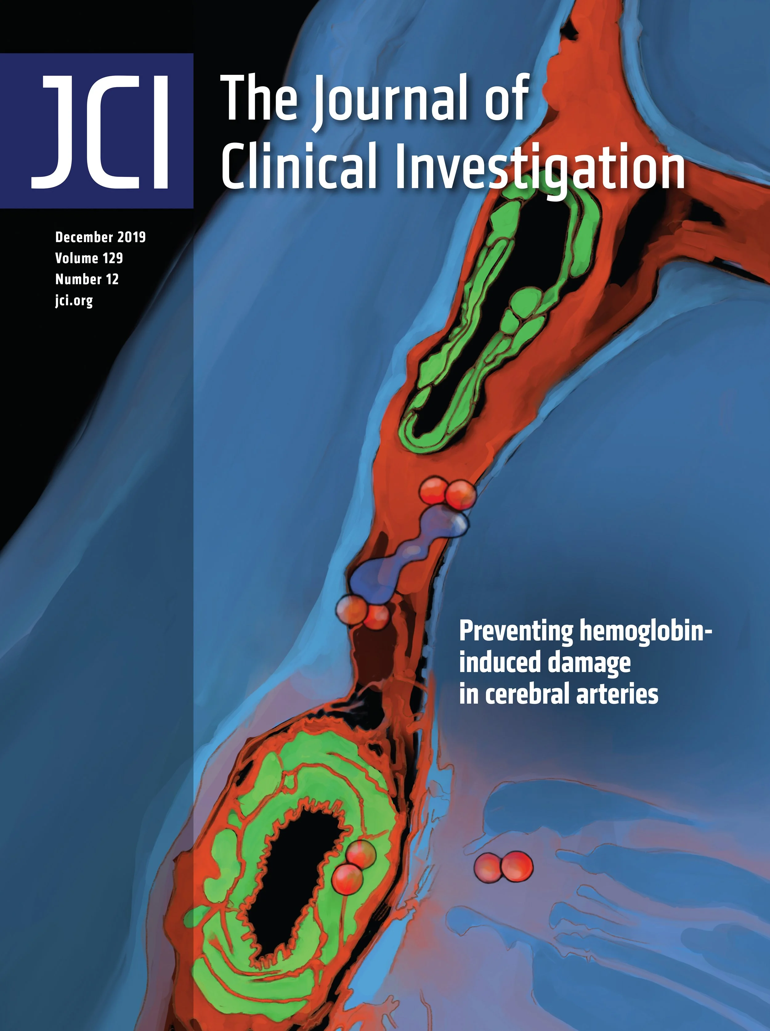 B_JCI_2019 cover copy.jpg