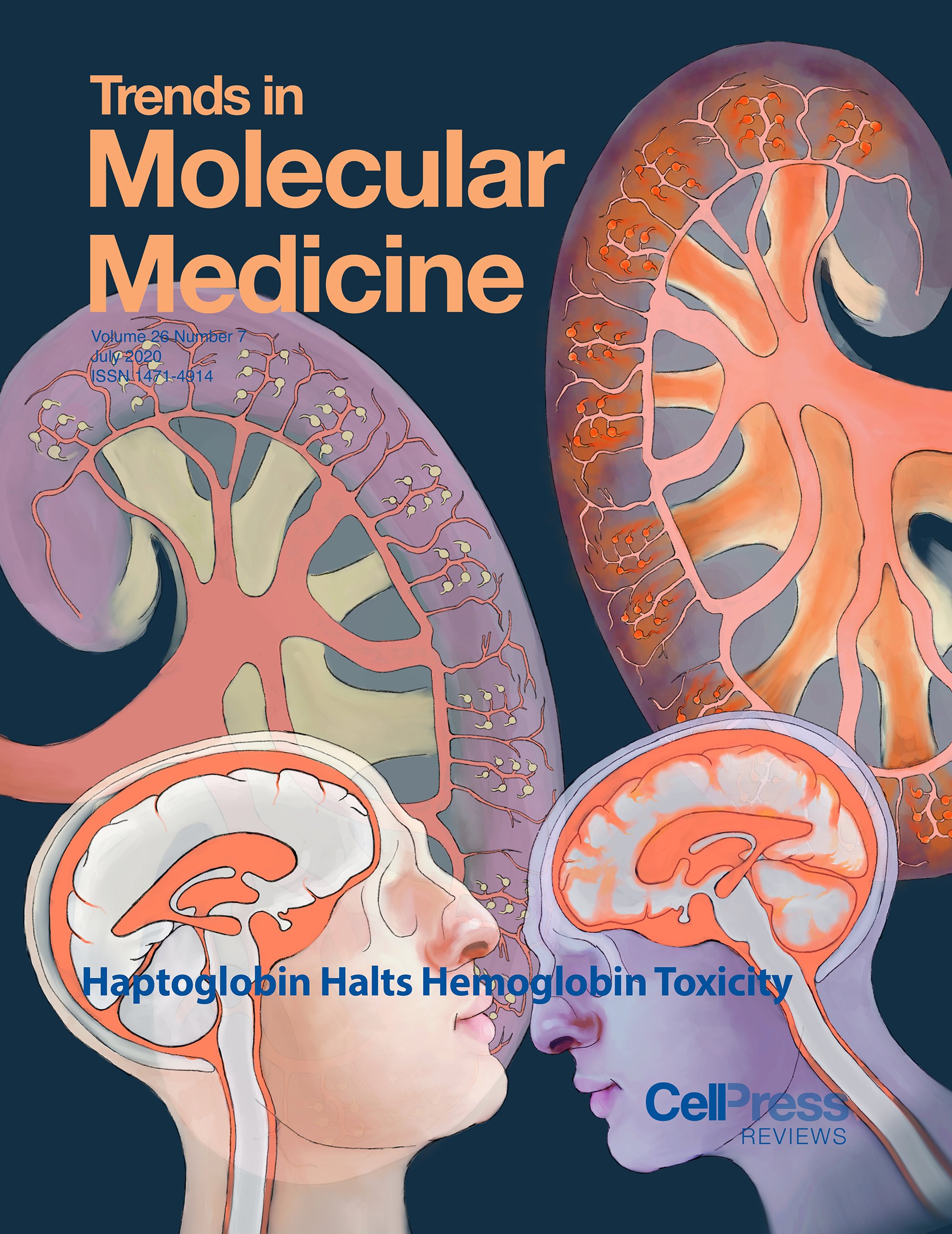 A_TMM_july 2020 cover 600dpi copy.jpg